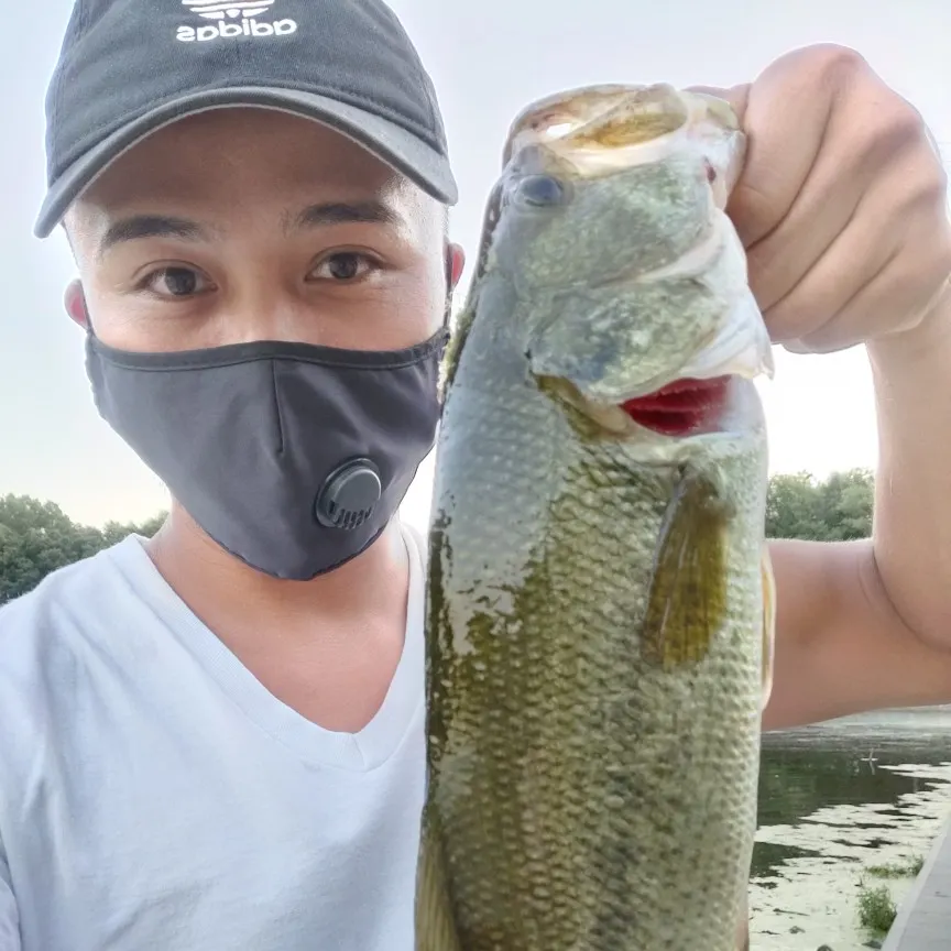 angler catch