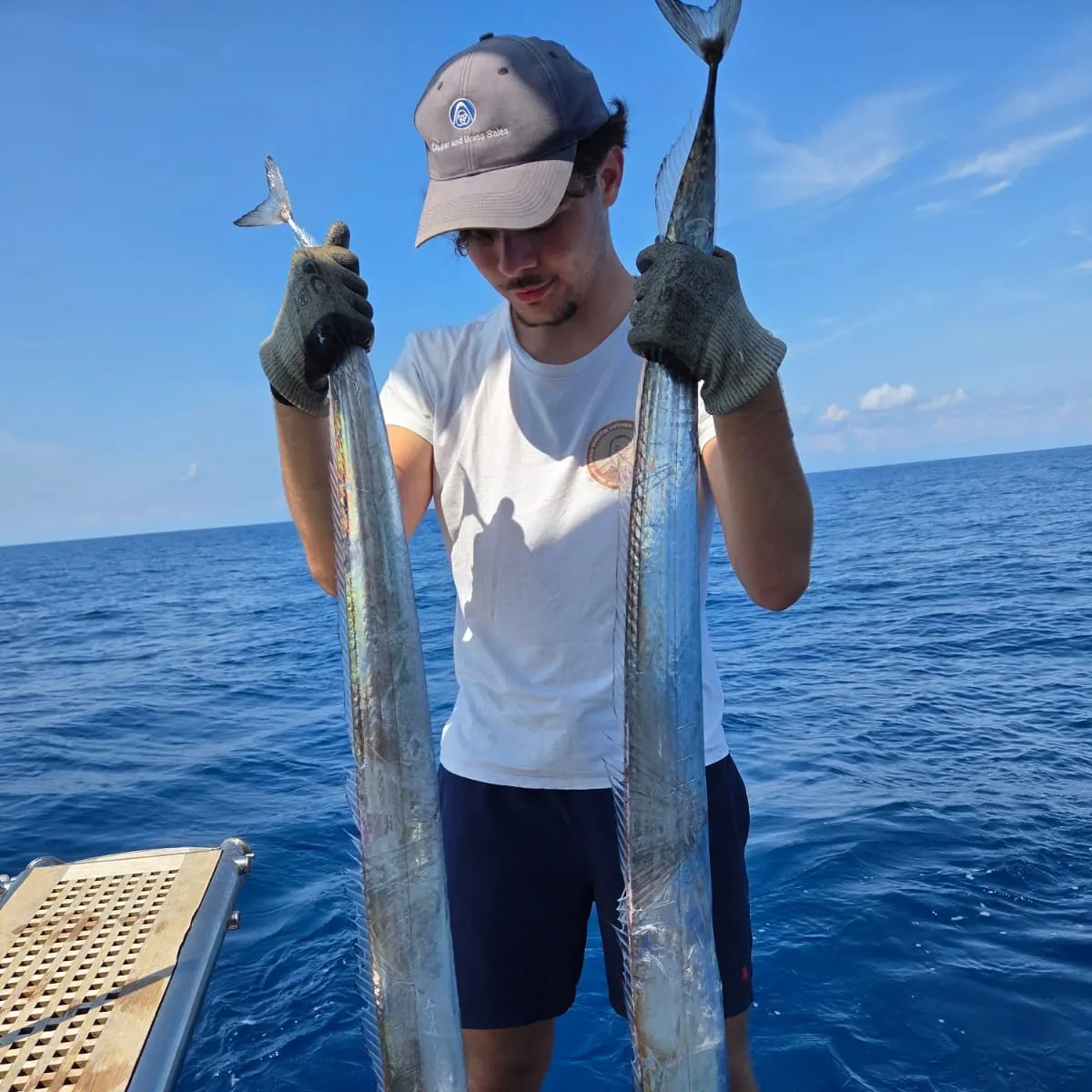 The most recent Silver scabbardfish catches on Fishbrain