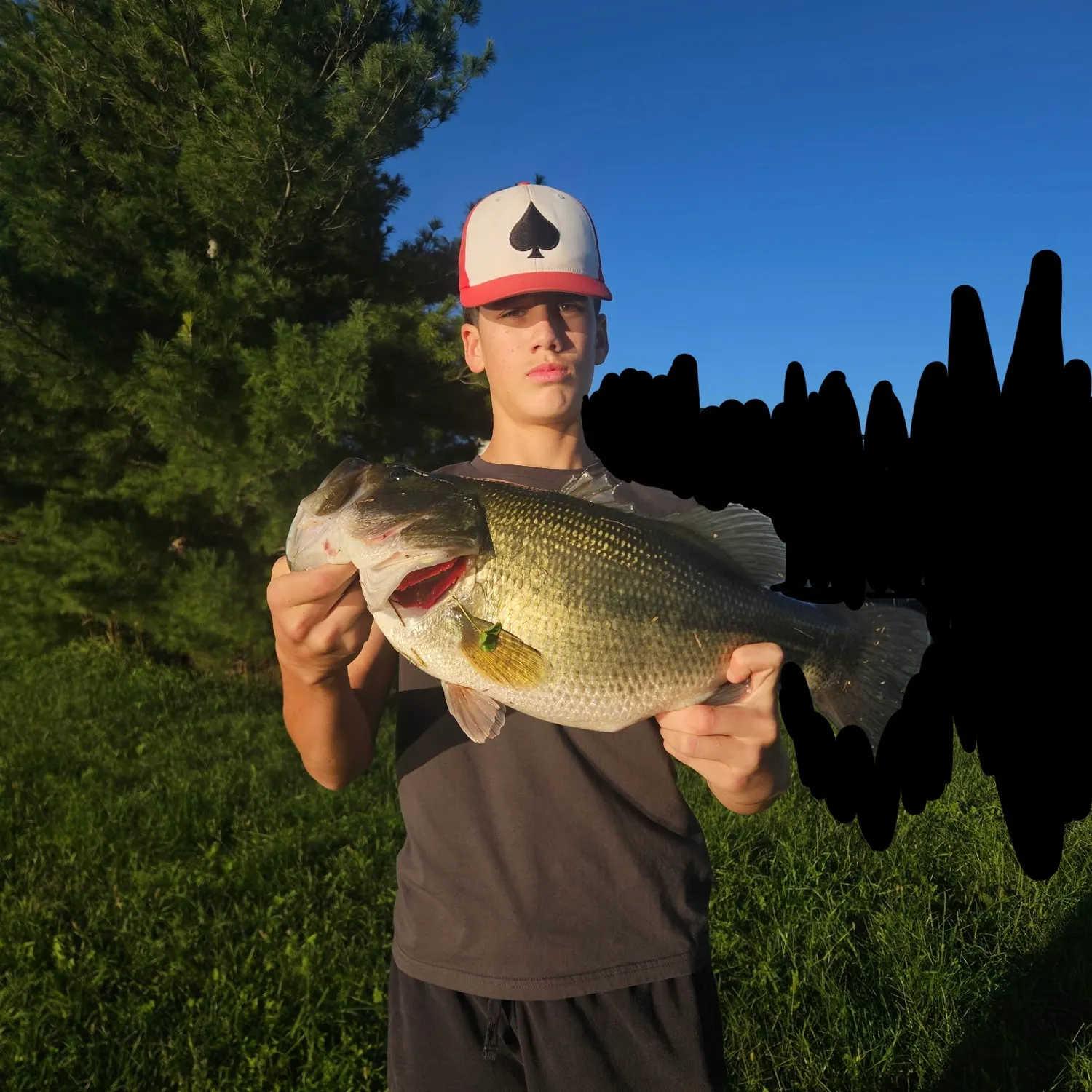 Largemouth bass caught on Fishbrain