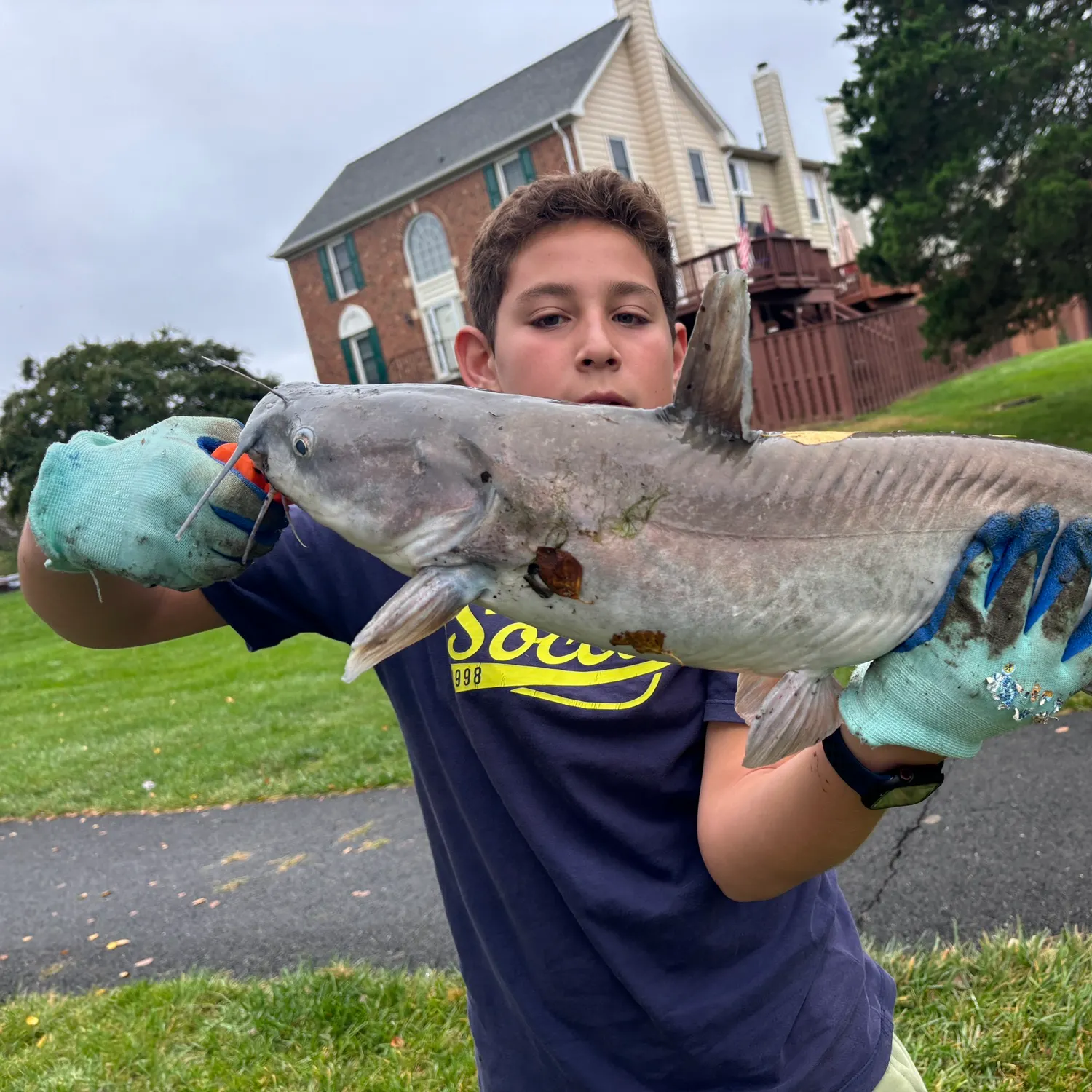 Blue catfish caught on Fishbrain