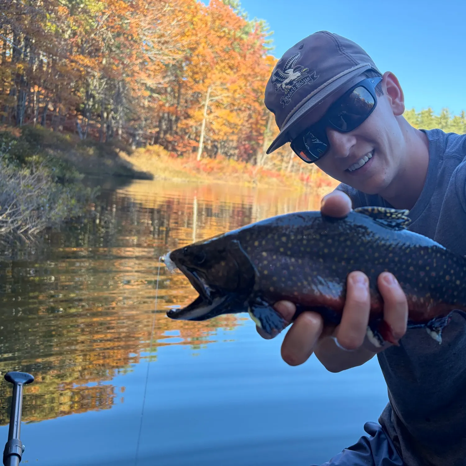 Brook trout caught on Fishbrain