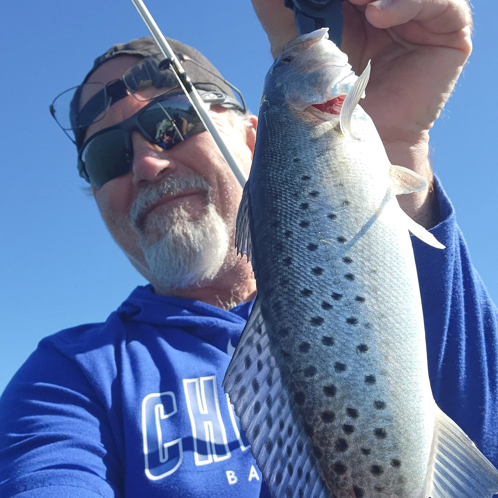 Spotted seatrout caught on Fishbrain