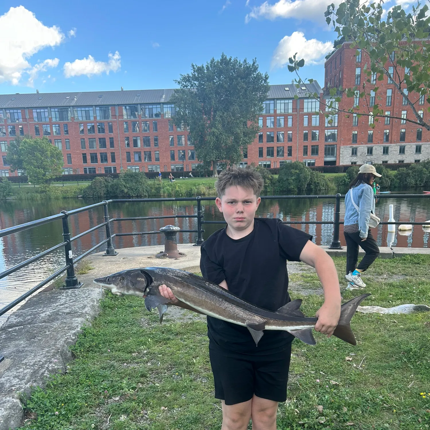 Lake sturgeon caught on Fishbrain