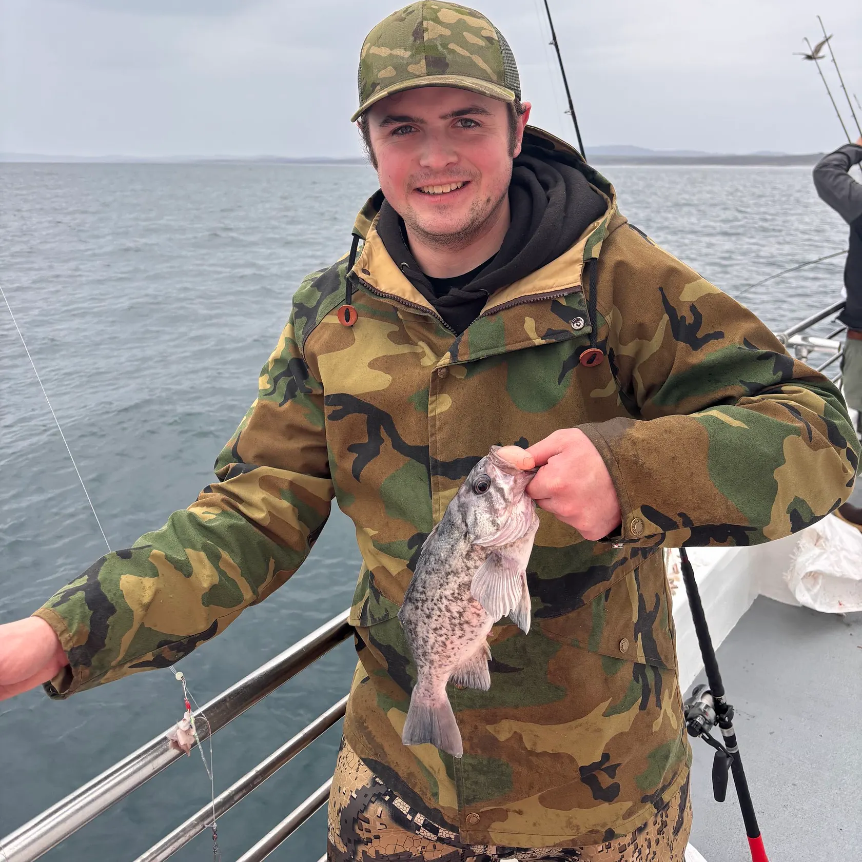 The most recent Blue rockfish catches on Fishbrain