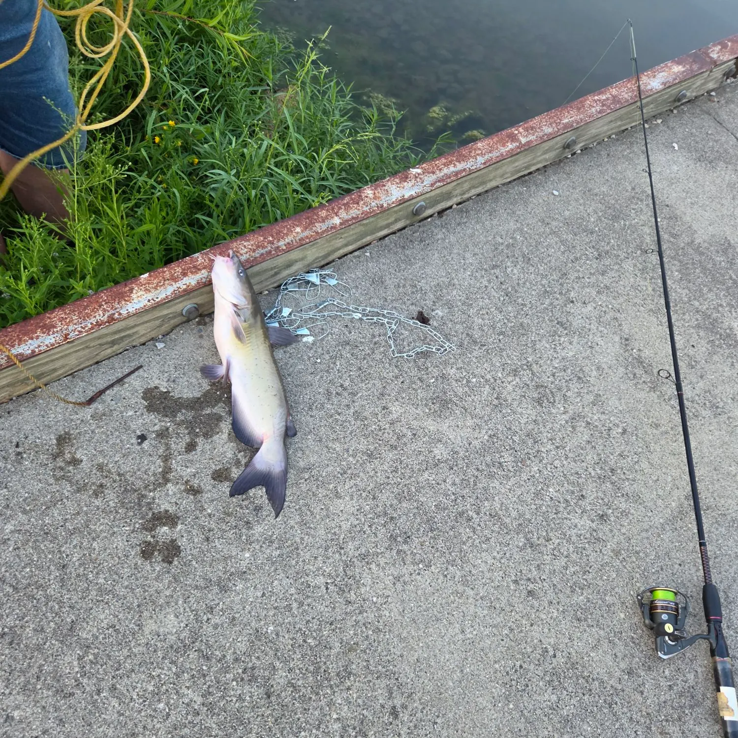 catch