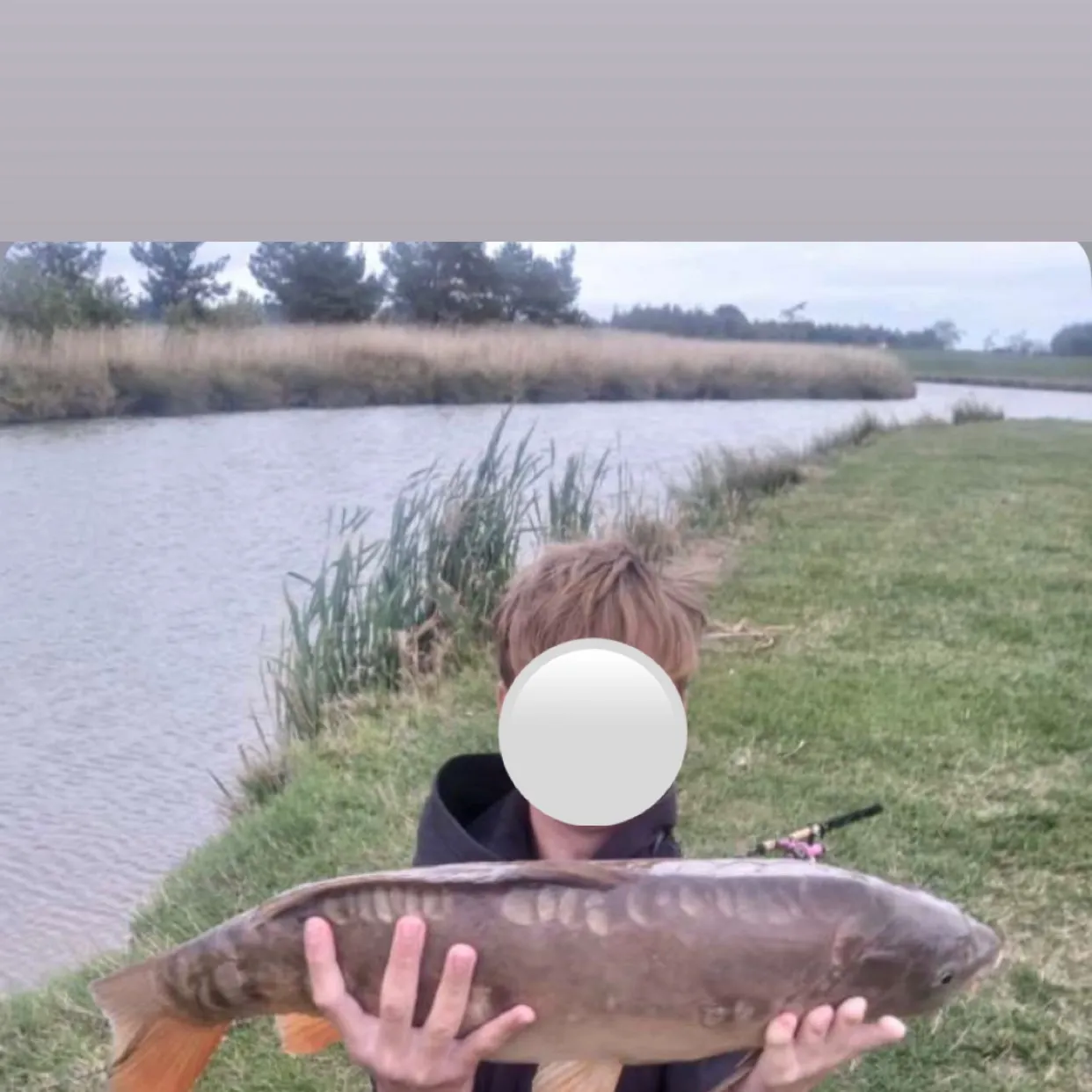 Mirror carp caught on Fishbrain
