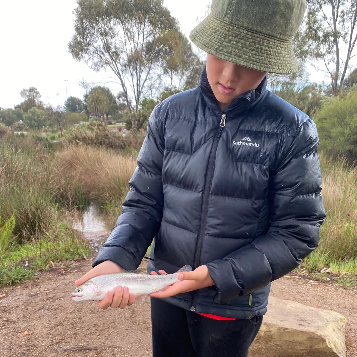 Rainbow trout caught on Fishbrain