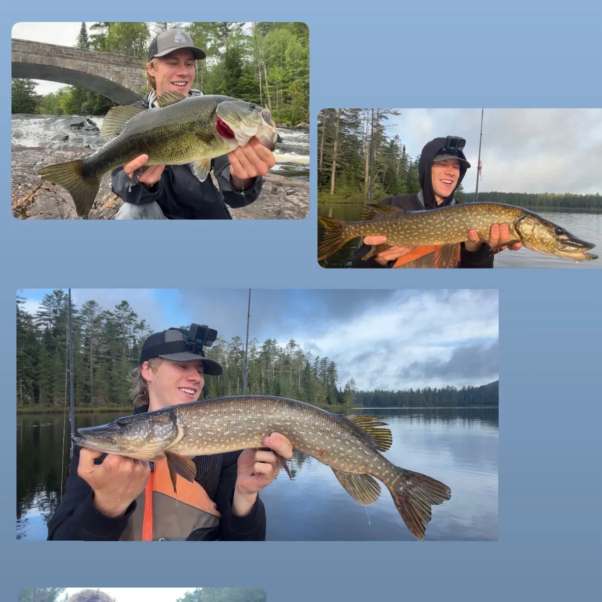 Northern pike caught on Fishbrain