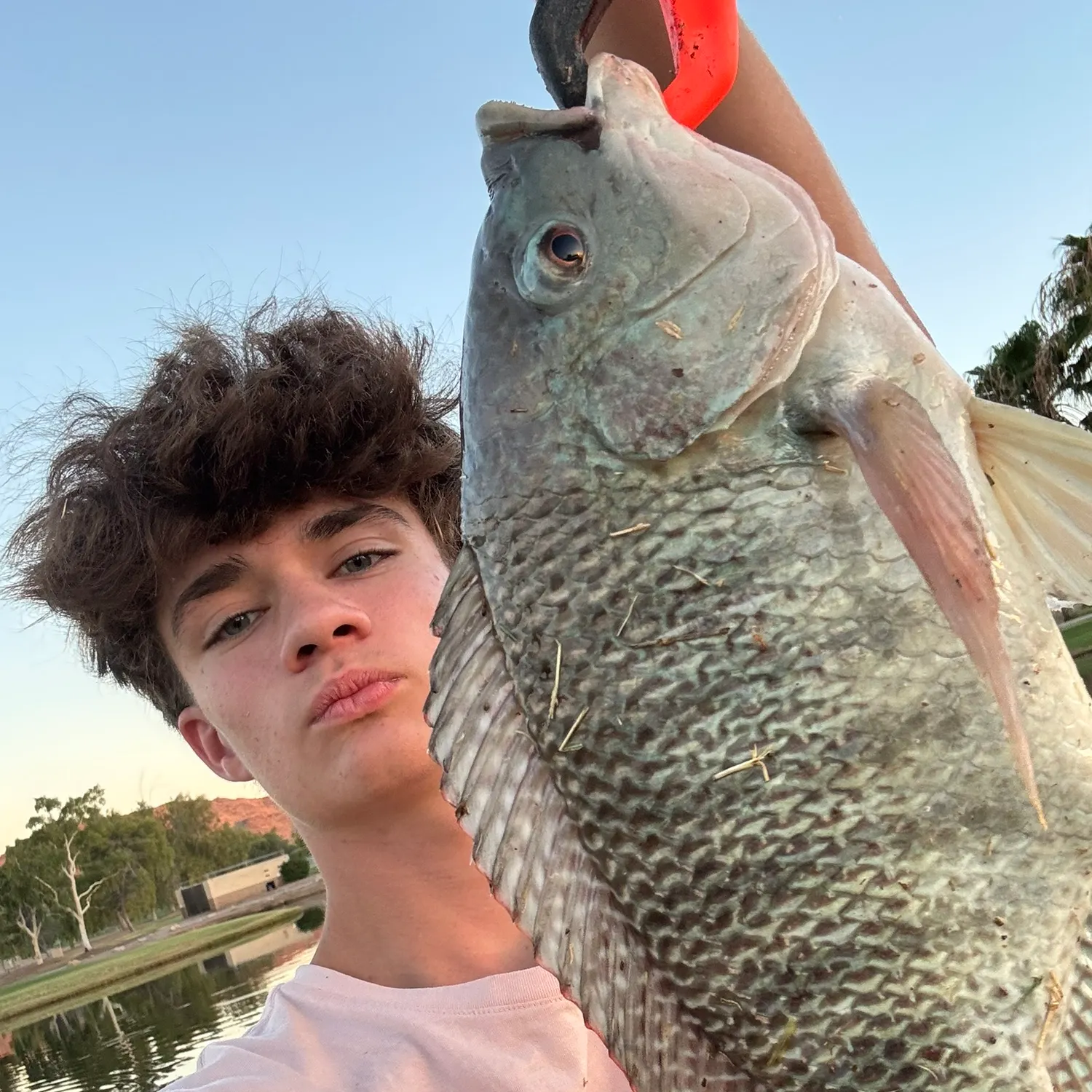 The most recent Blue tilapia catches on Fishbrain