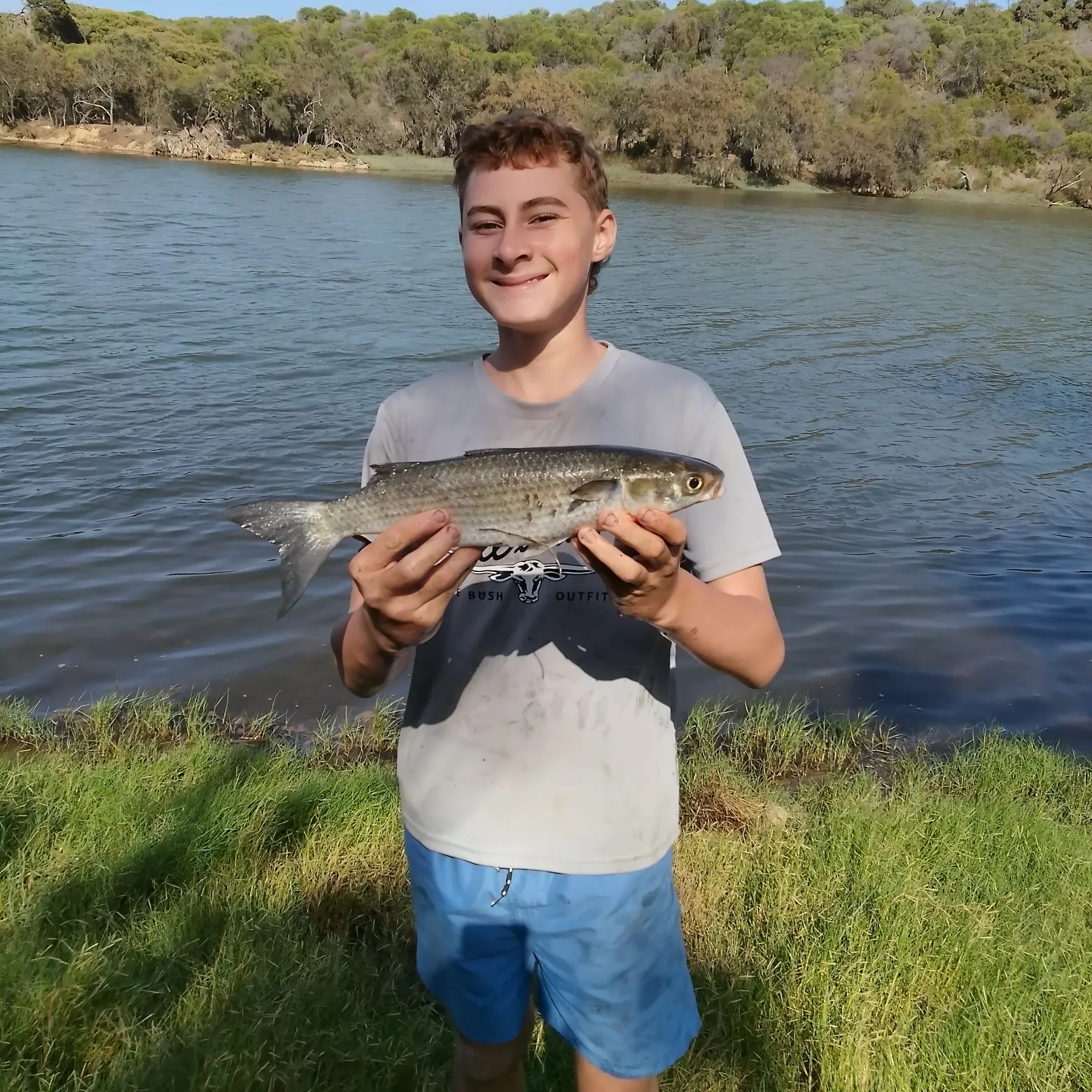 The most recent Thicklip grey mullet catches on Fishbrain