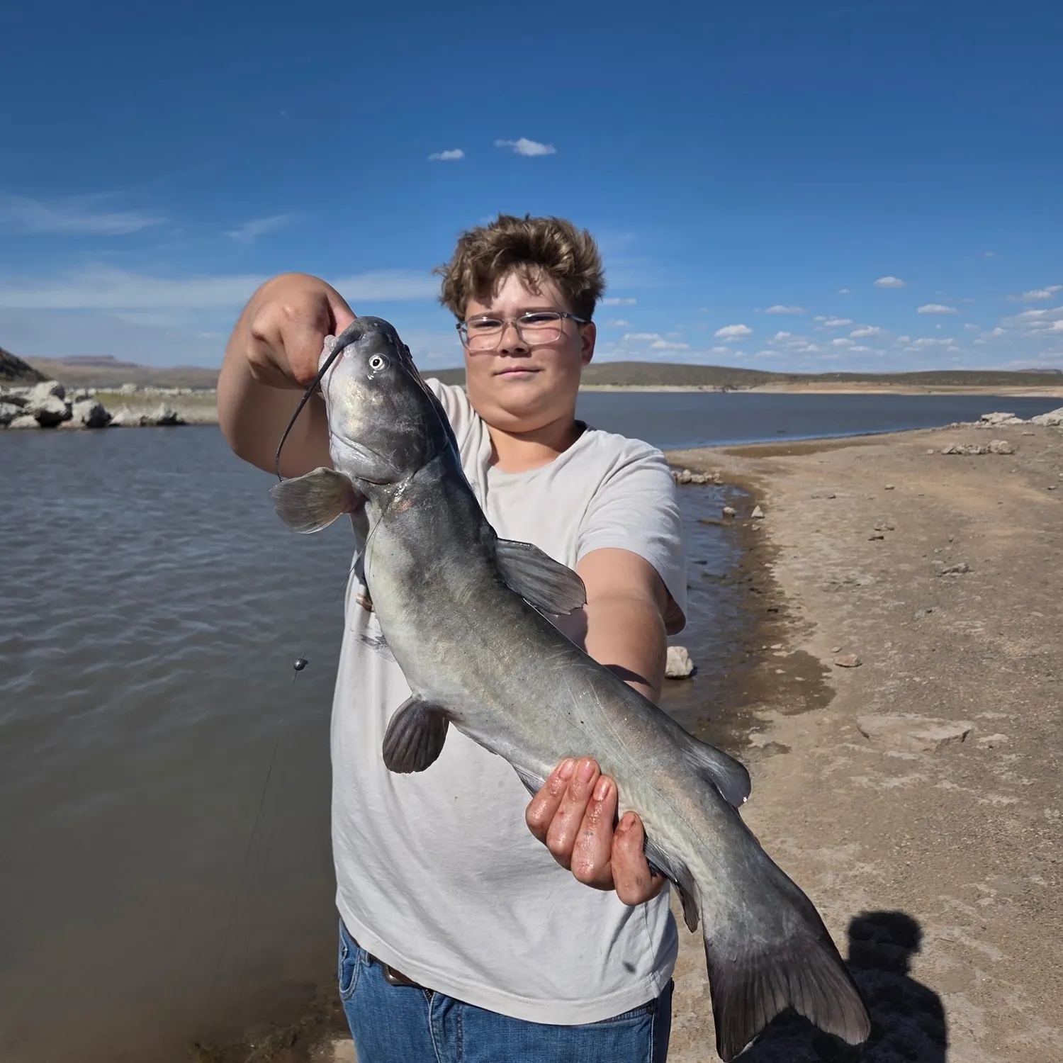 Channel catfish caught on Fishbrain