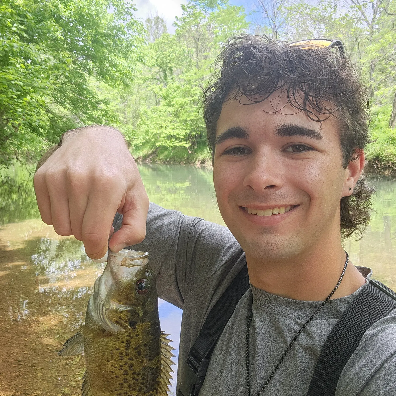 most liked catch image