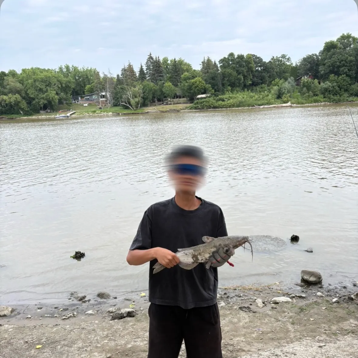 Channel catfish caught on Fishbrain