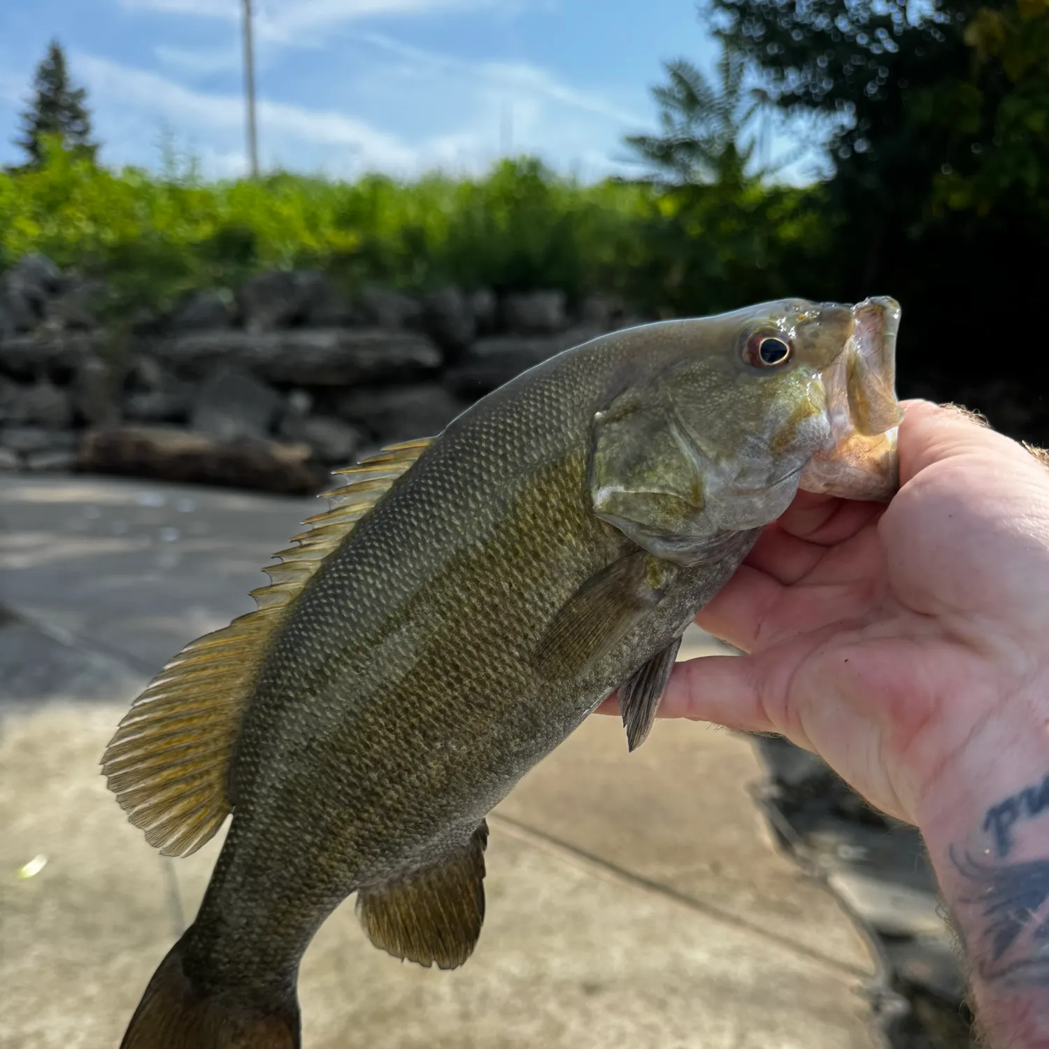 catch