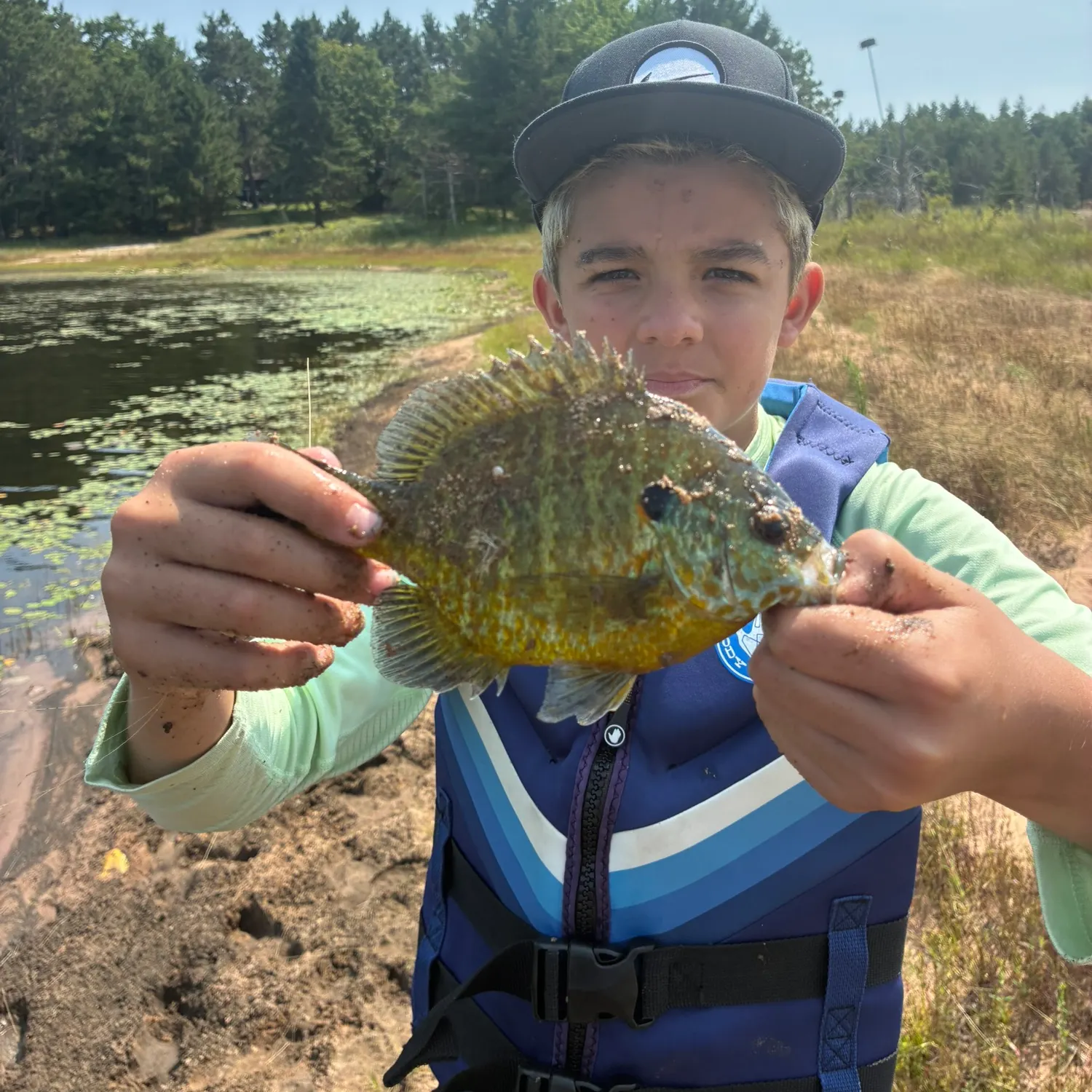 Pumpkinseed caught on Fishbrain