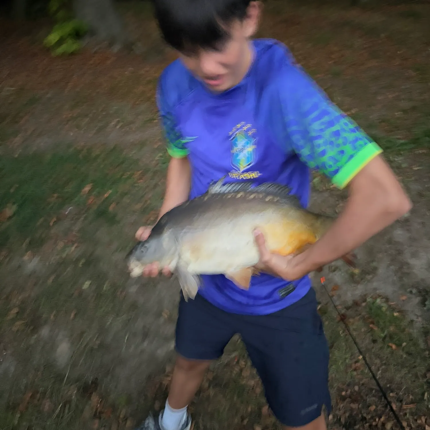 Leather carp caught on Fishbrain