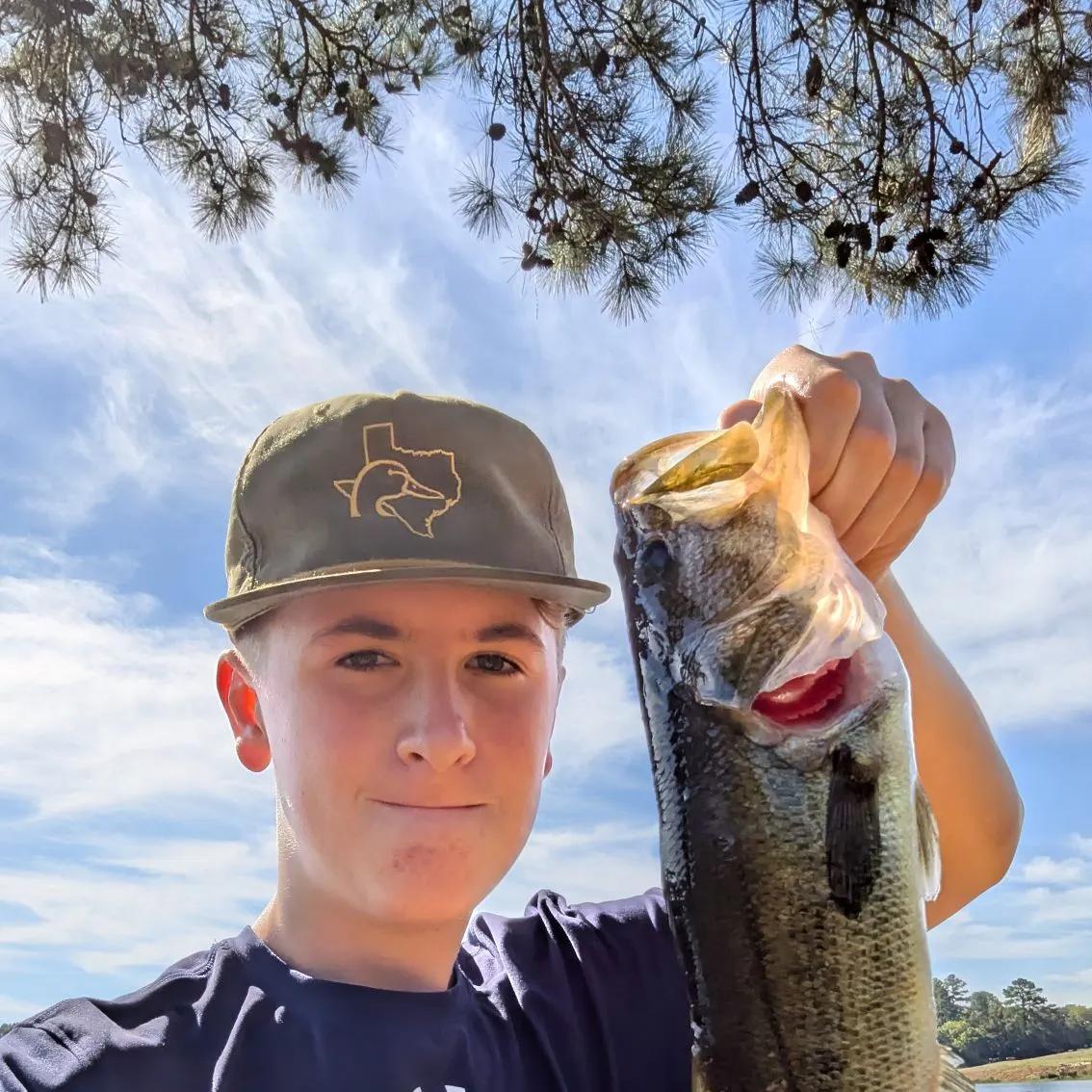 Largemouth bass caught on Fishbrain