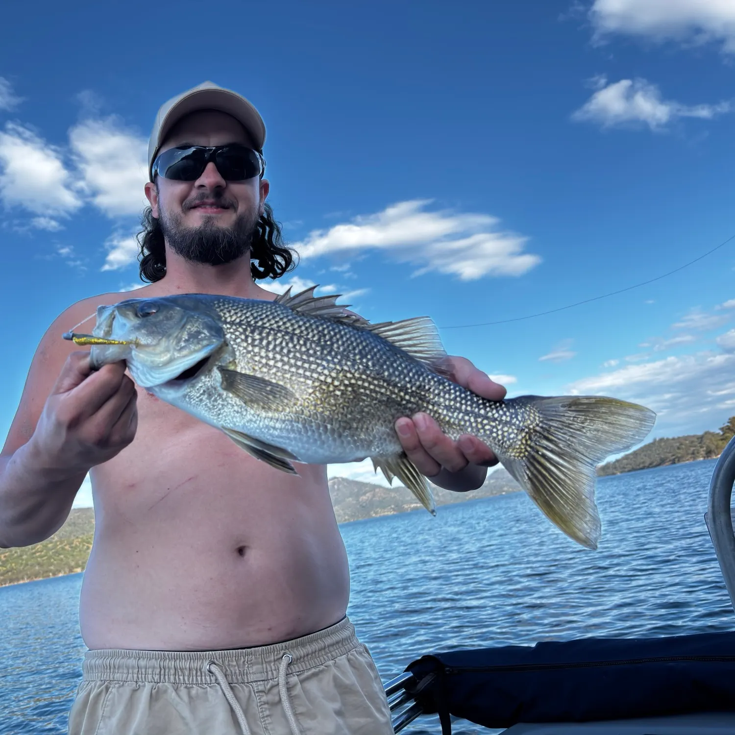Australian bass caught on Fishbrain