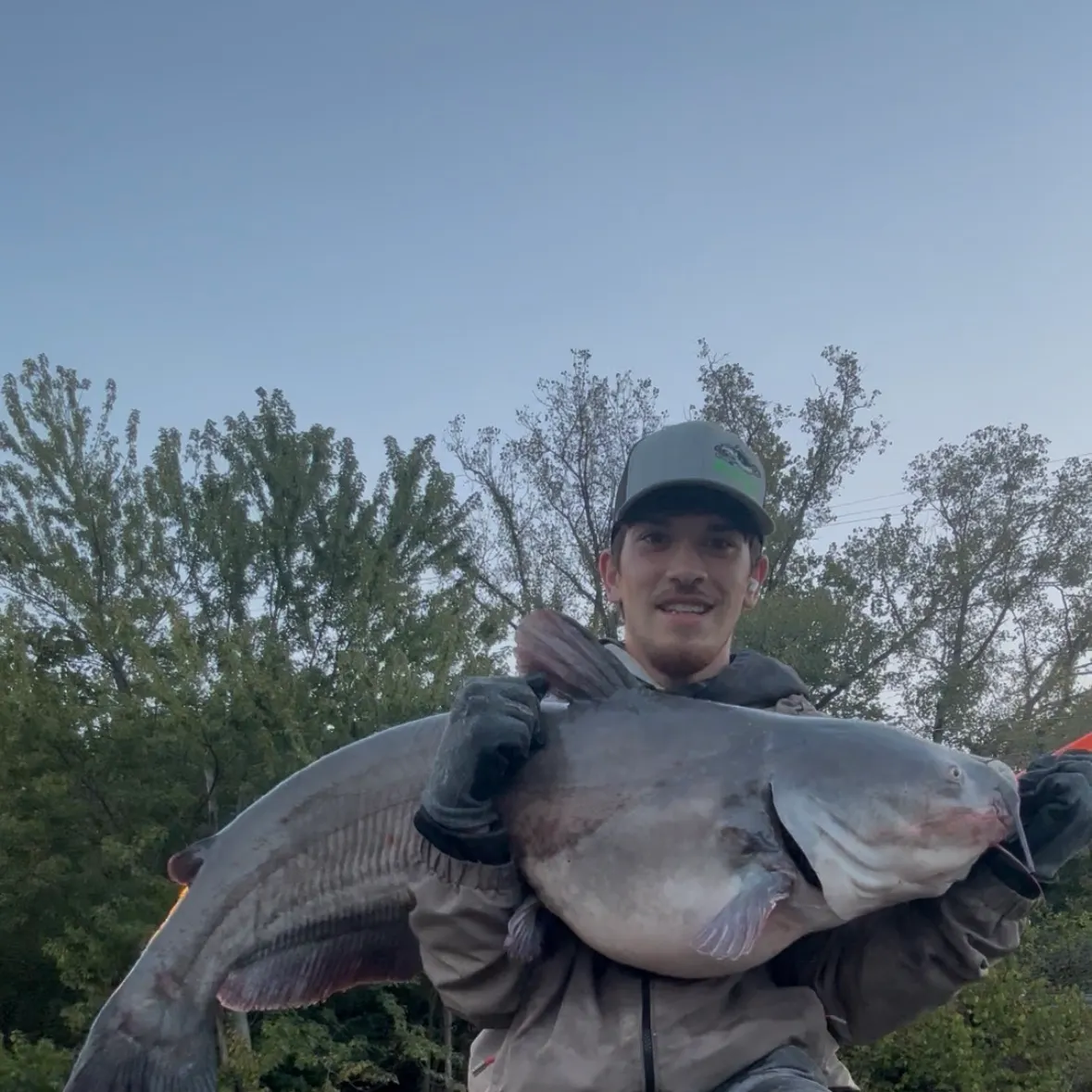 The most recent Blue catfish catches on Fishbrain