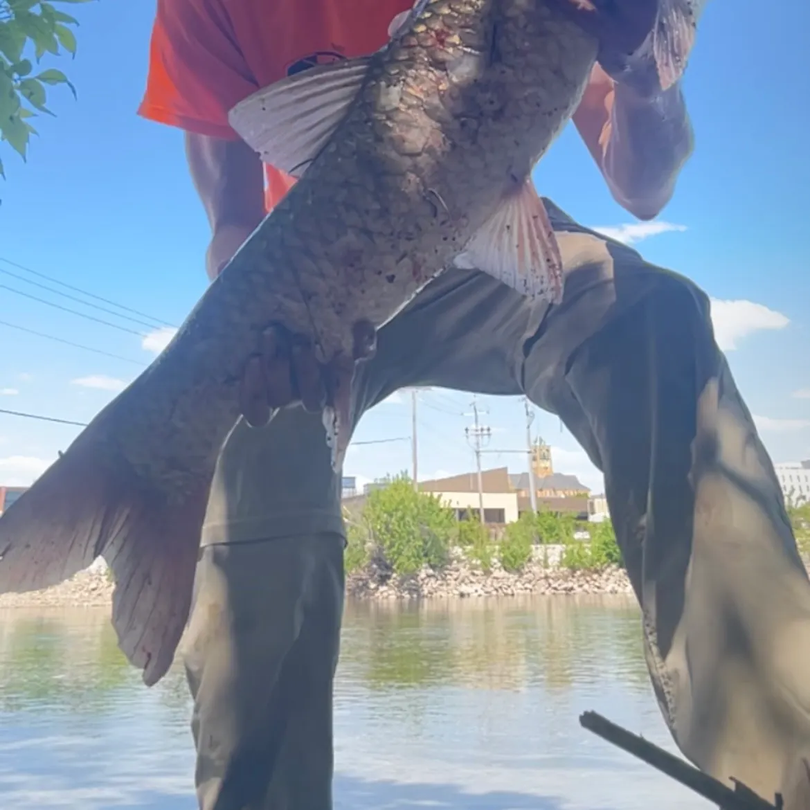 catch