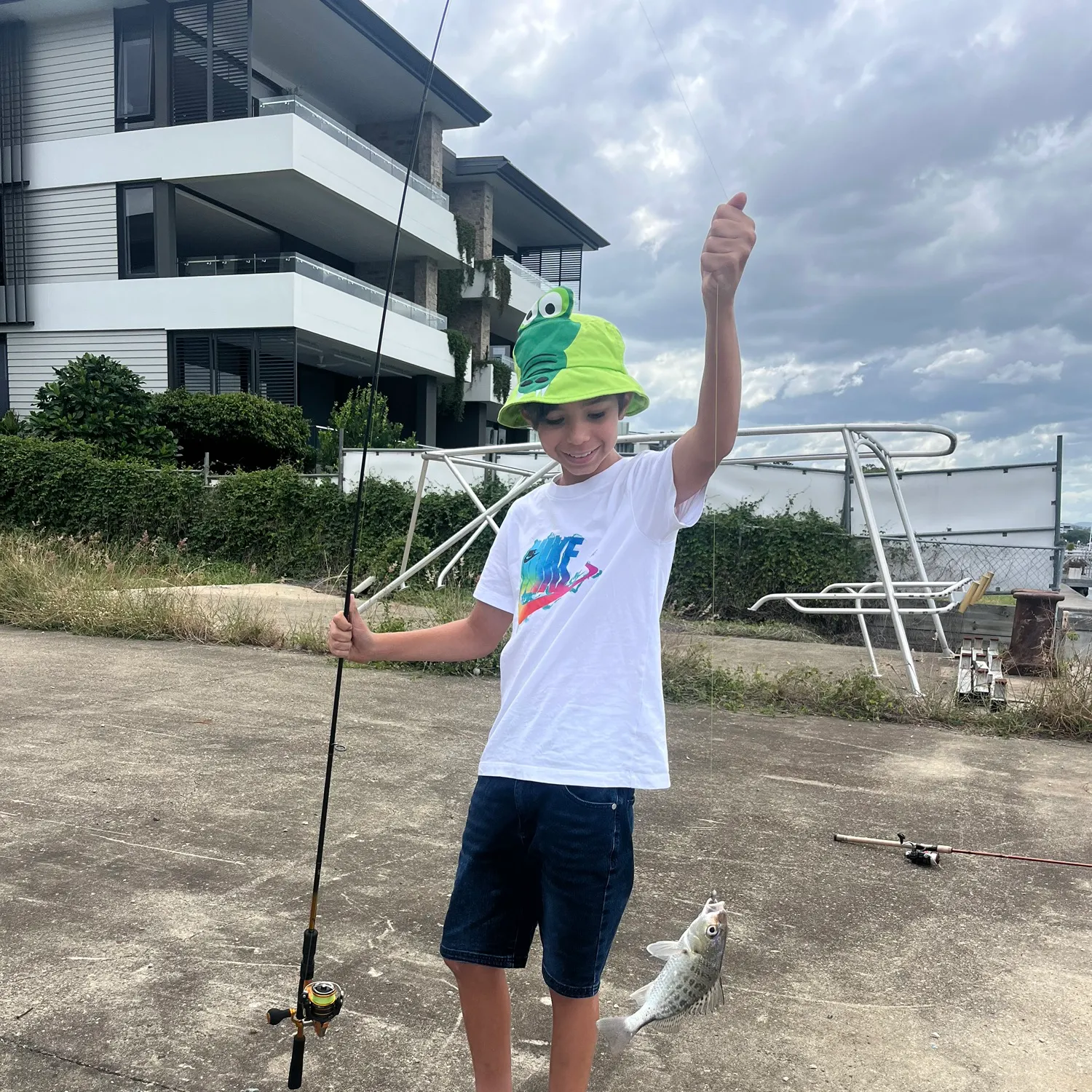 The most recent Pacific seabream catches on Fishbrain