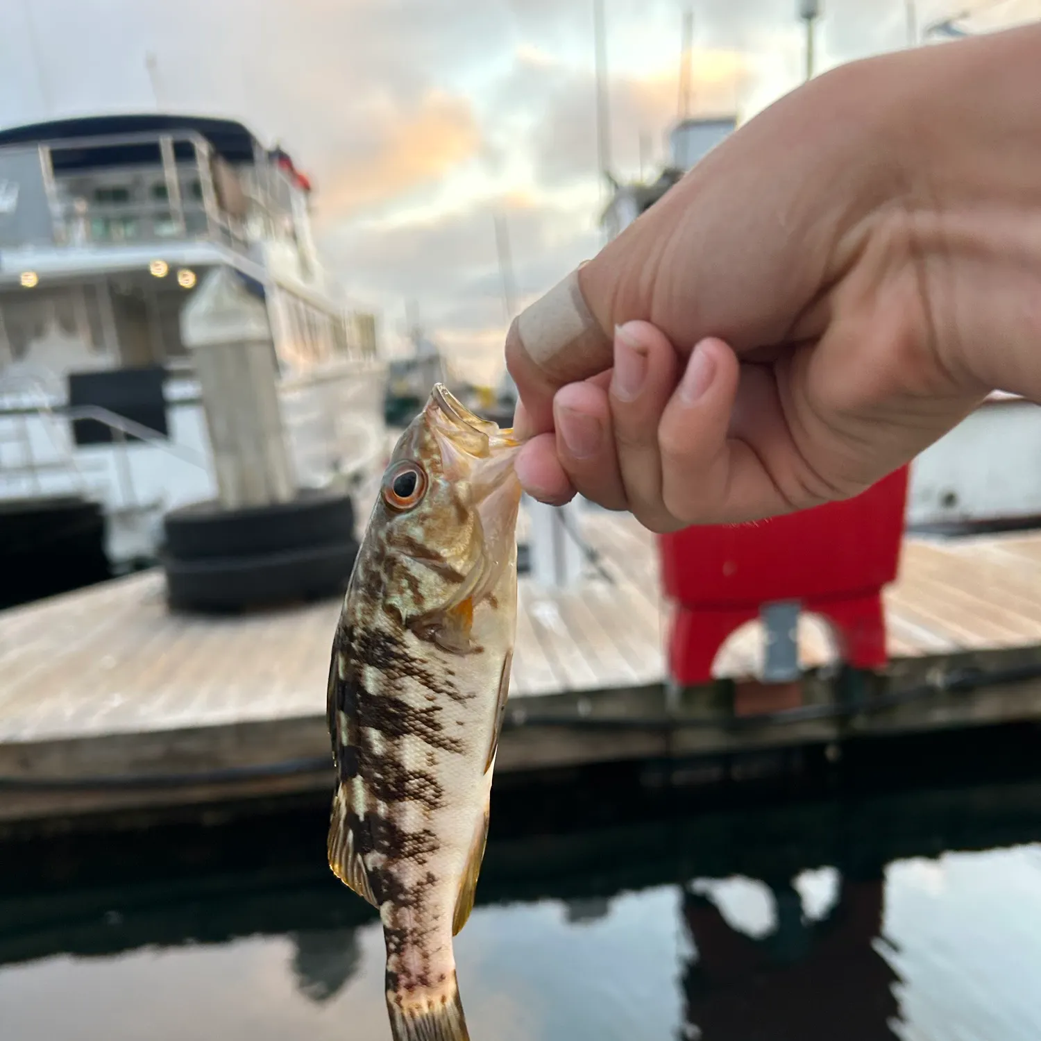 catch