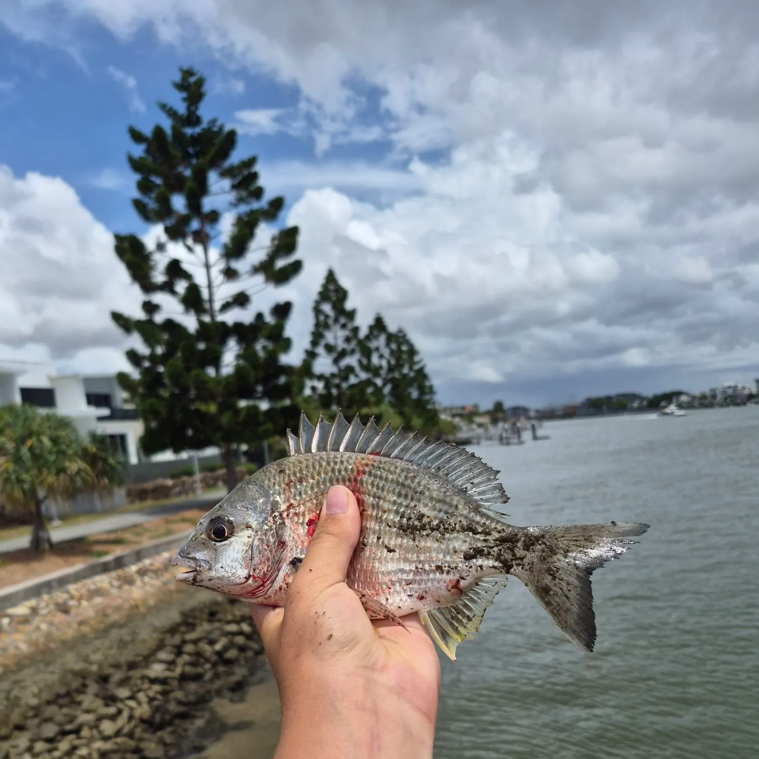 catch