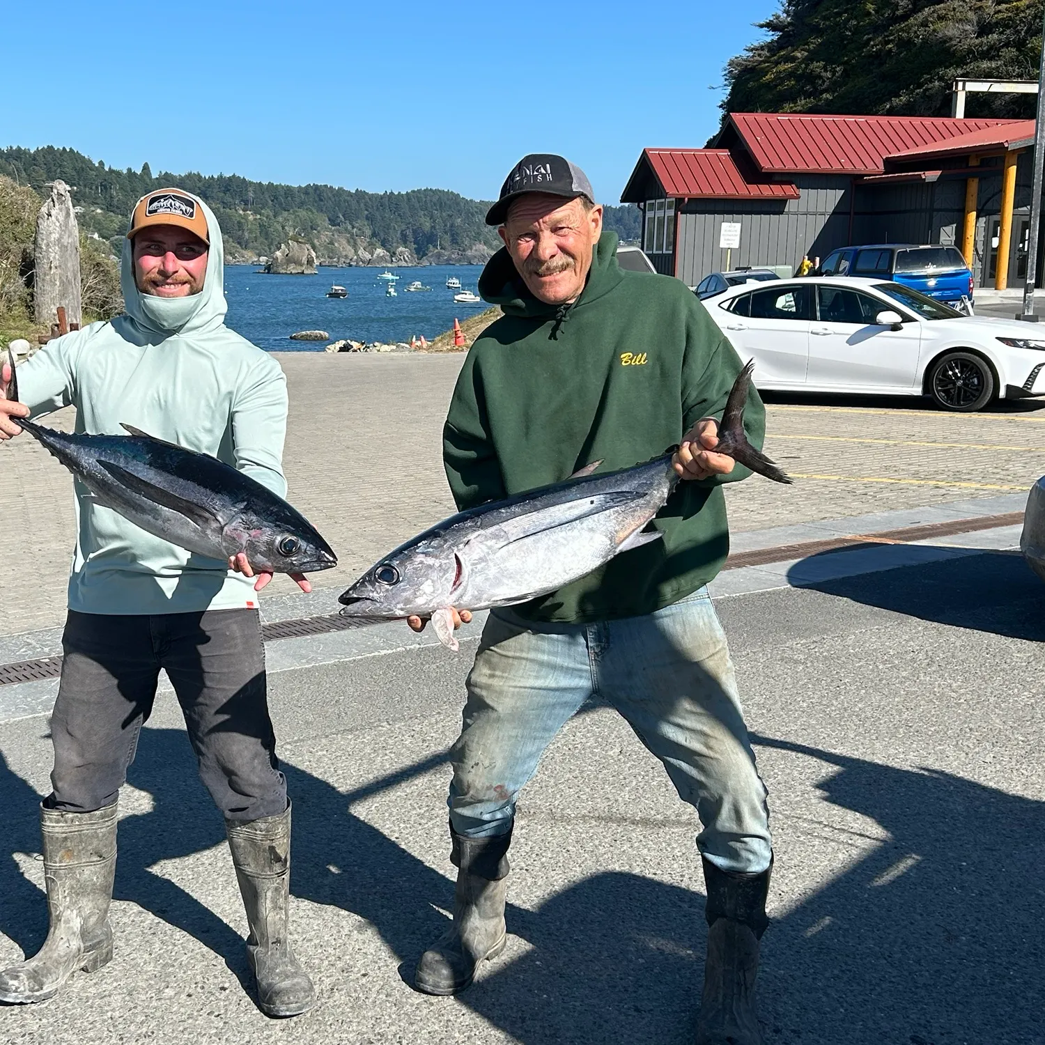 The most recent Albacore catches on Fishbrain