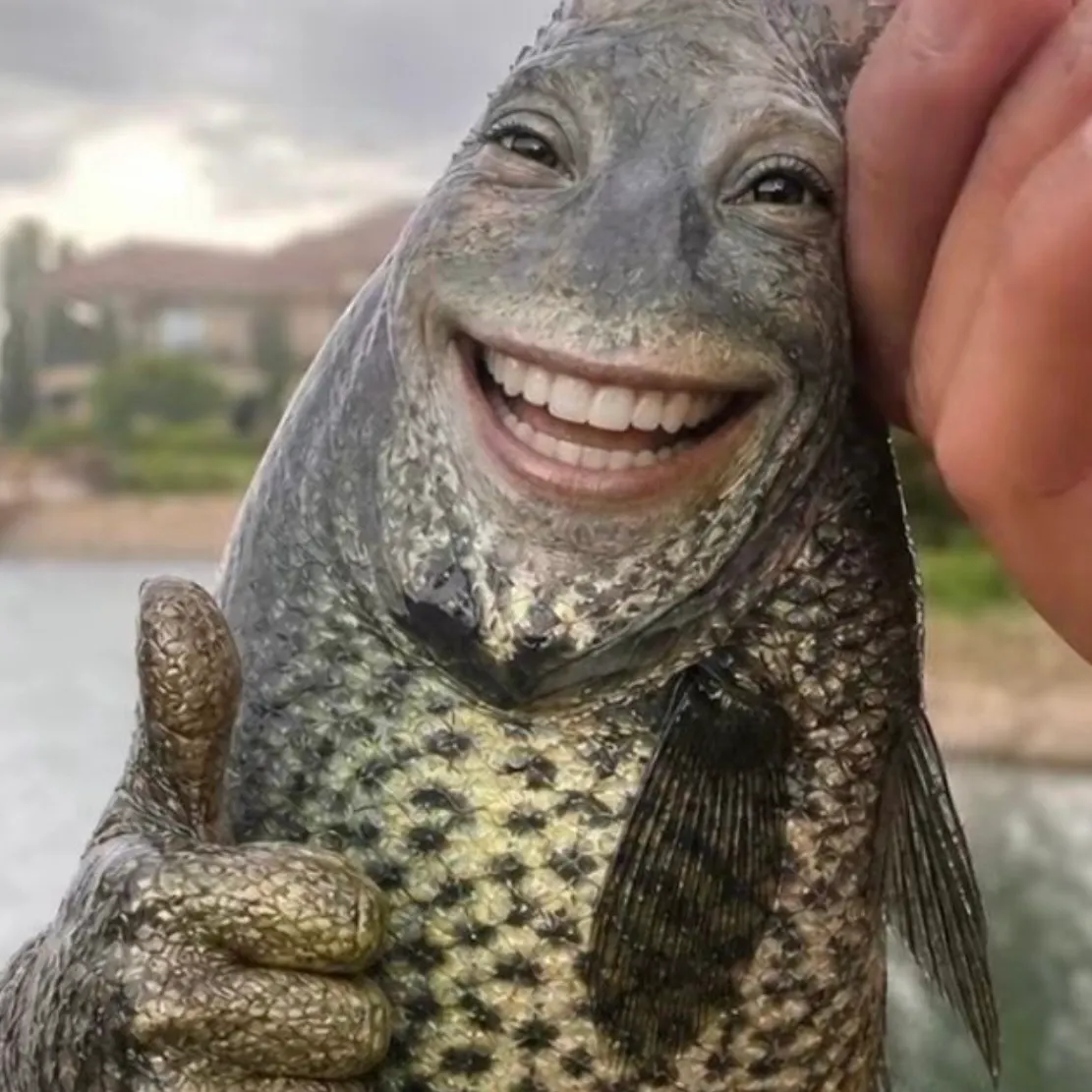 Black crappie caught on Fishbrain