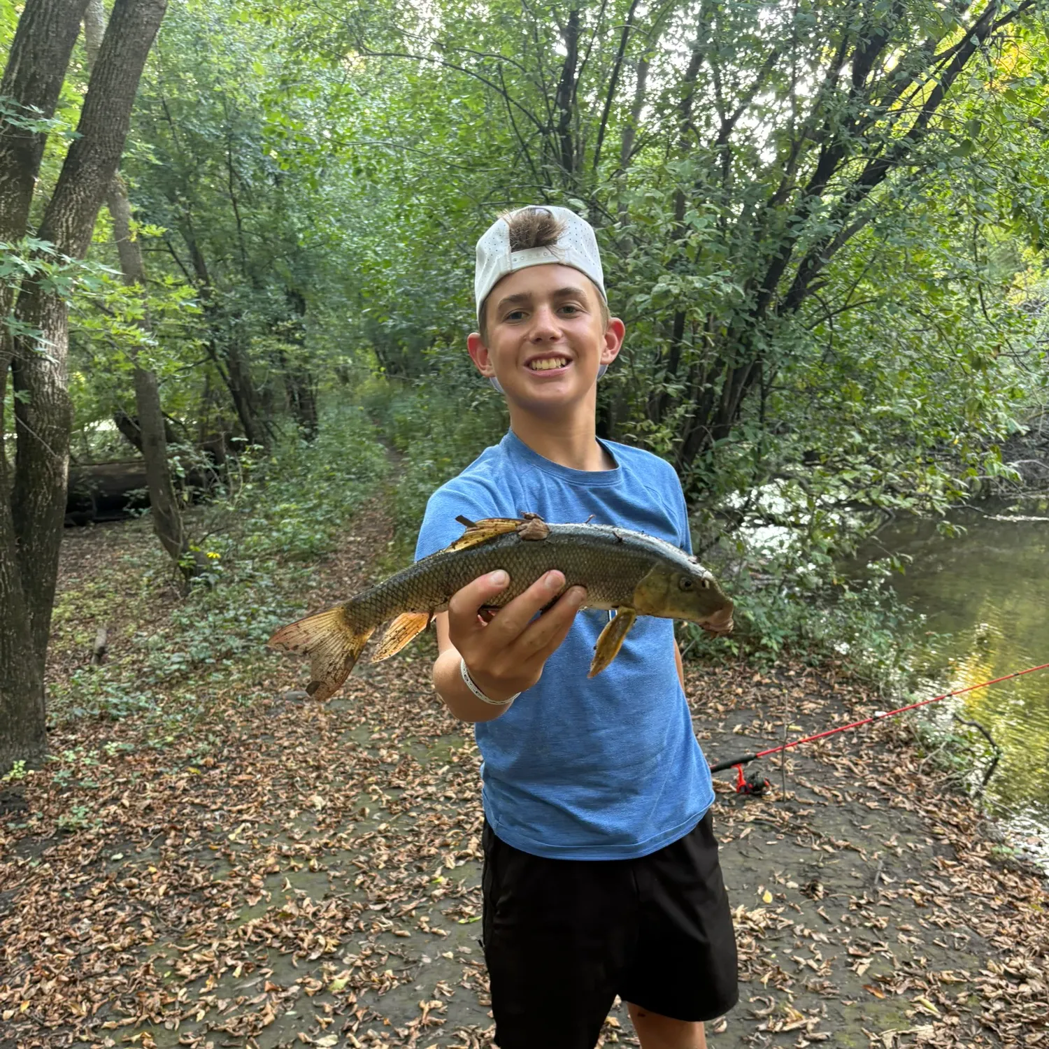 White sucker caught on Fishbrain