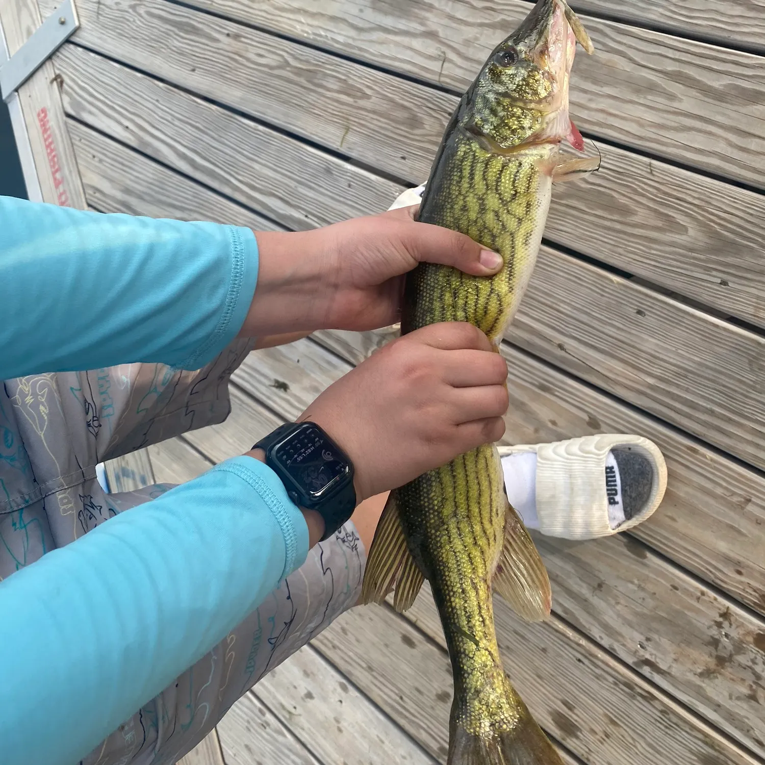 catch