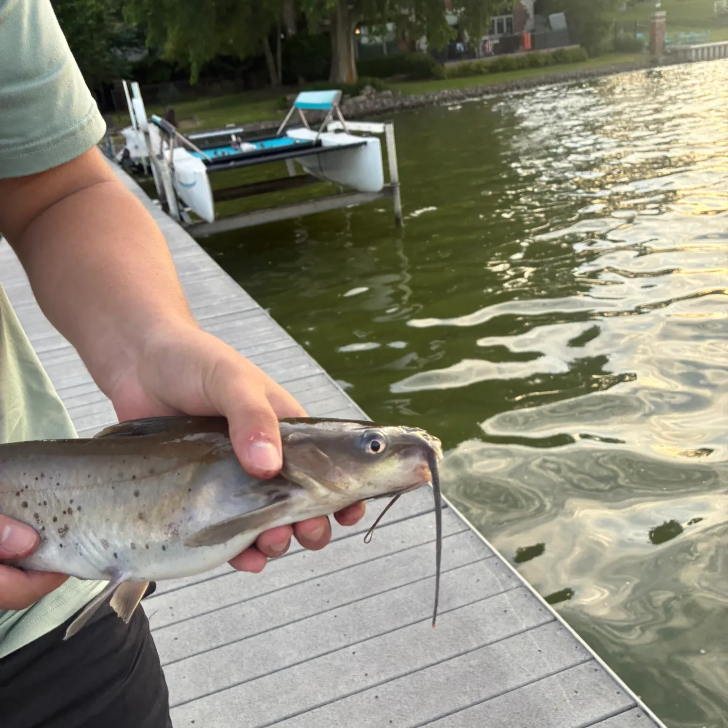 catch