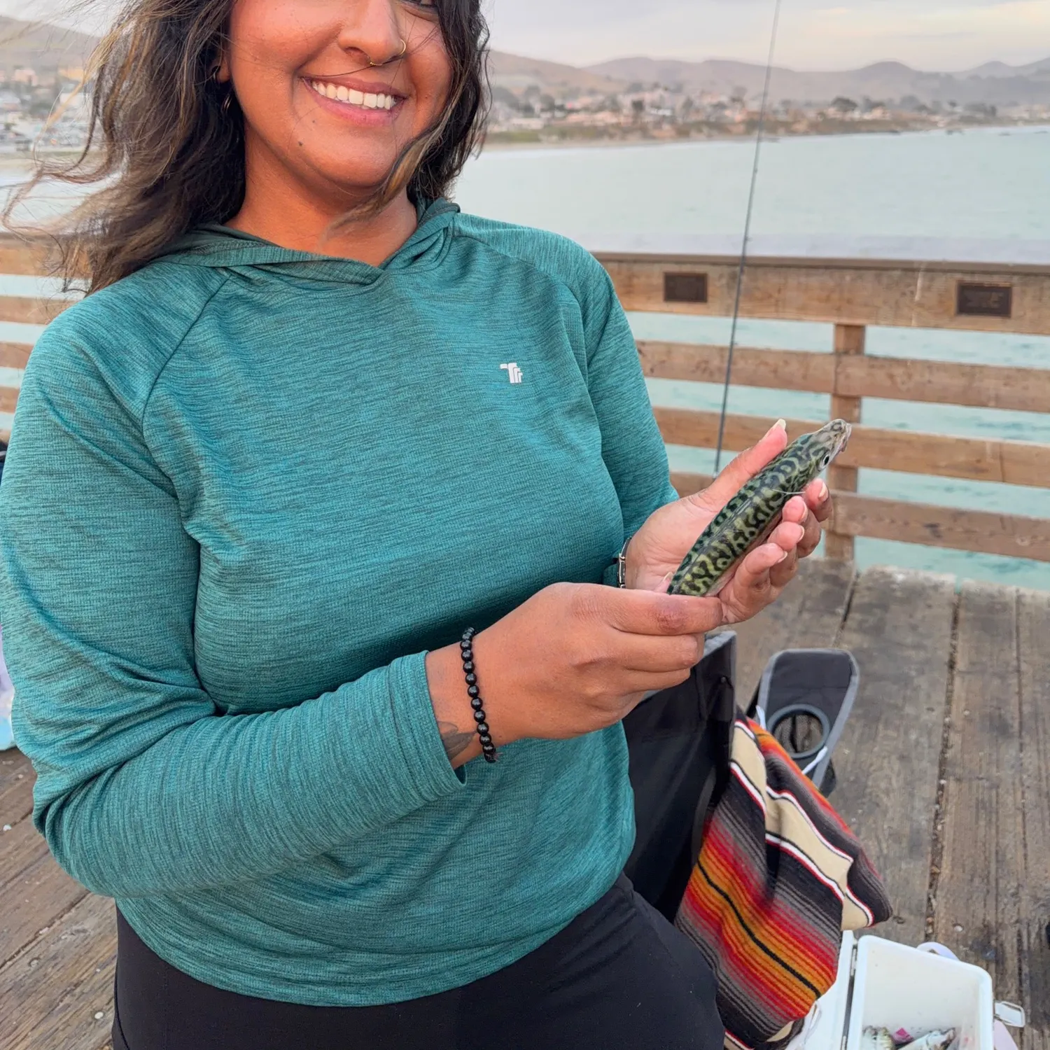 Pacific chub mackerel caught on Fishbrain