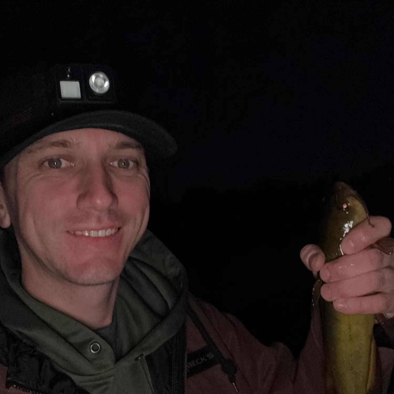 Yellow bullhead caught on Fishbrain