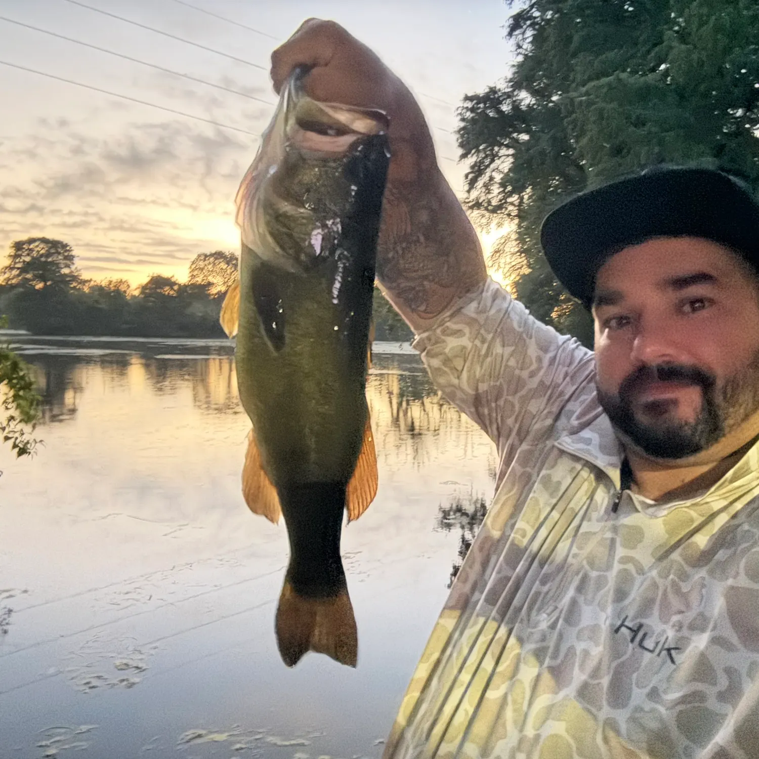 Largemouth bass caught on Fishbrain