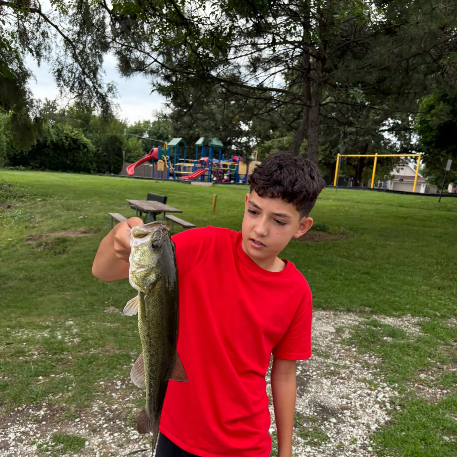 Largemouth bass caught on Fishbrain