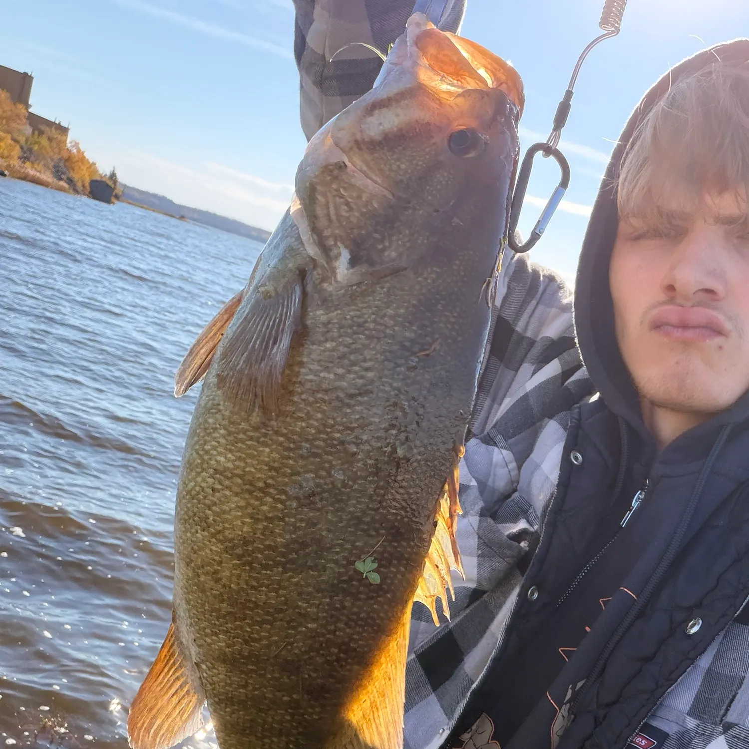 Smallmouth bass caught on Fishbrain