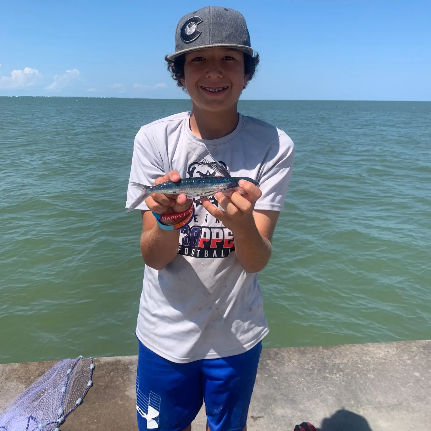 The most recent Sailfin flyingfish catches on Fishbrain