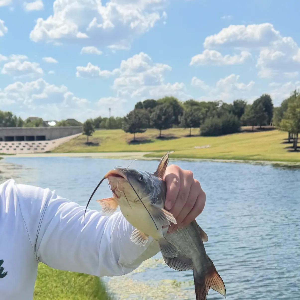 Fish caught on Fishbrain