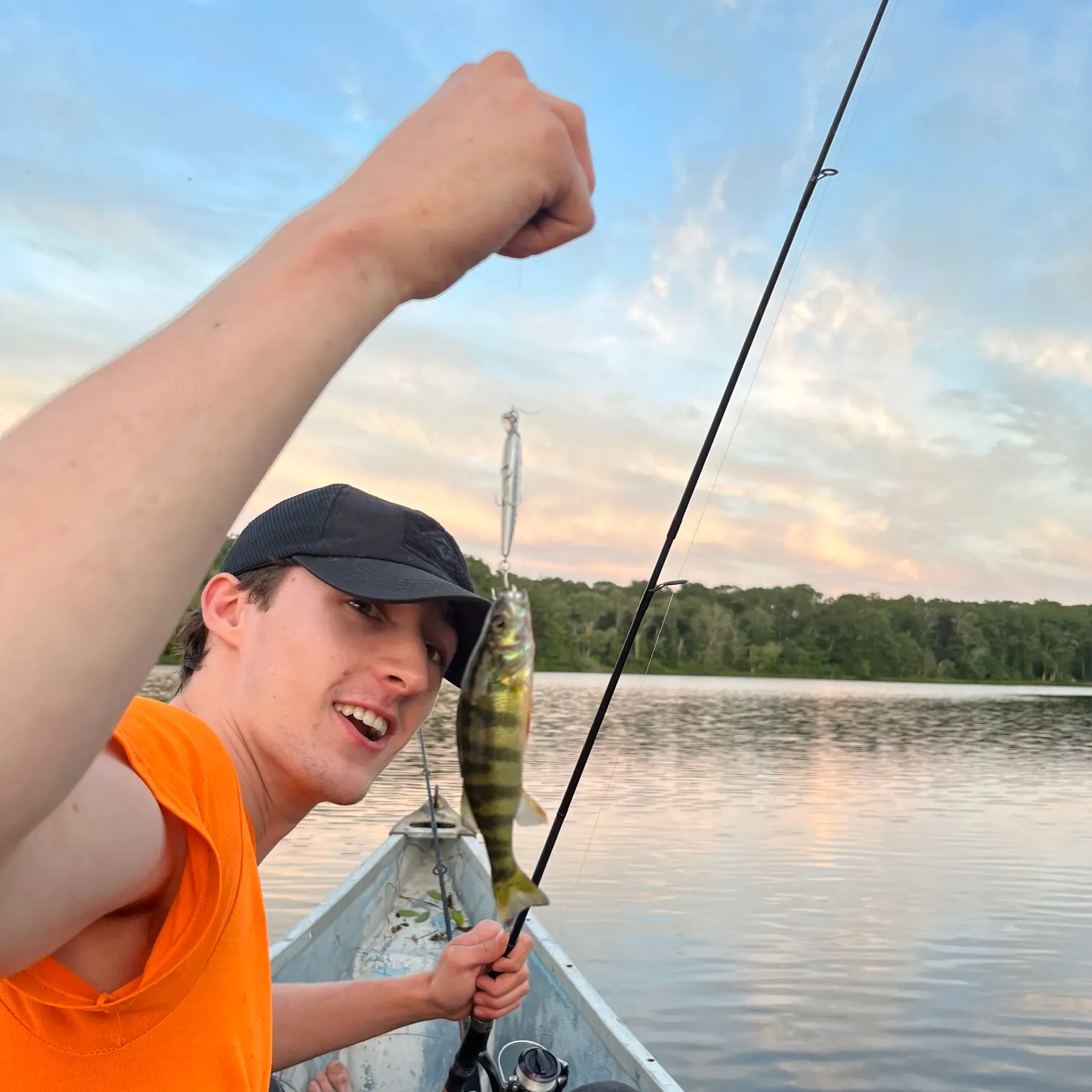 Yellow perch caught on Fishbrain