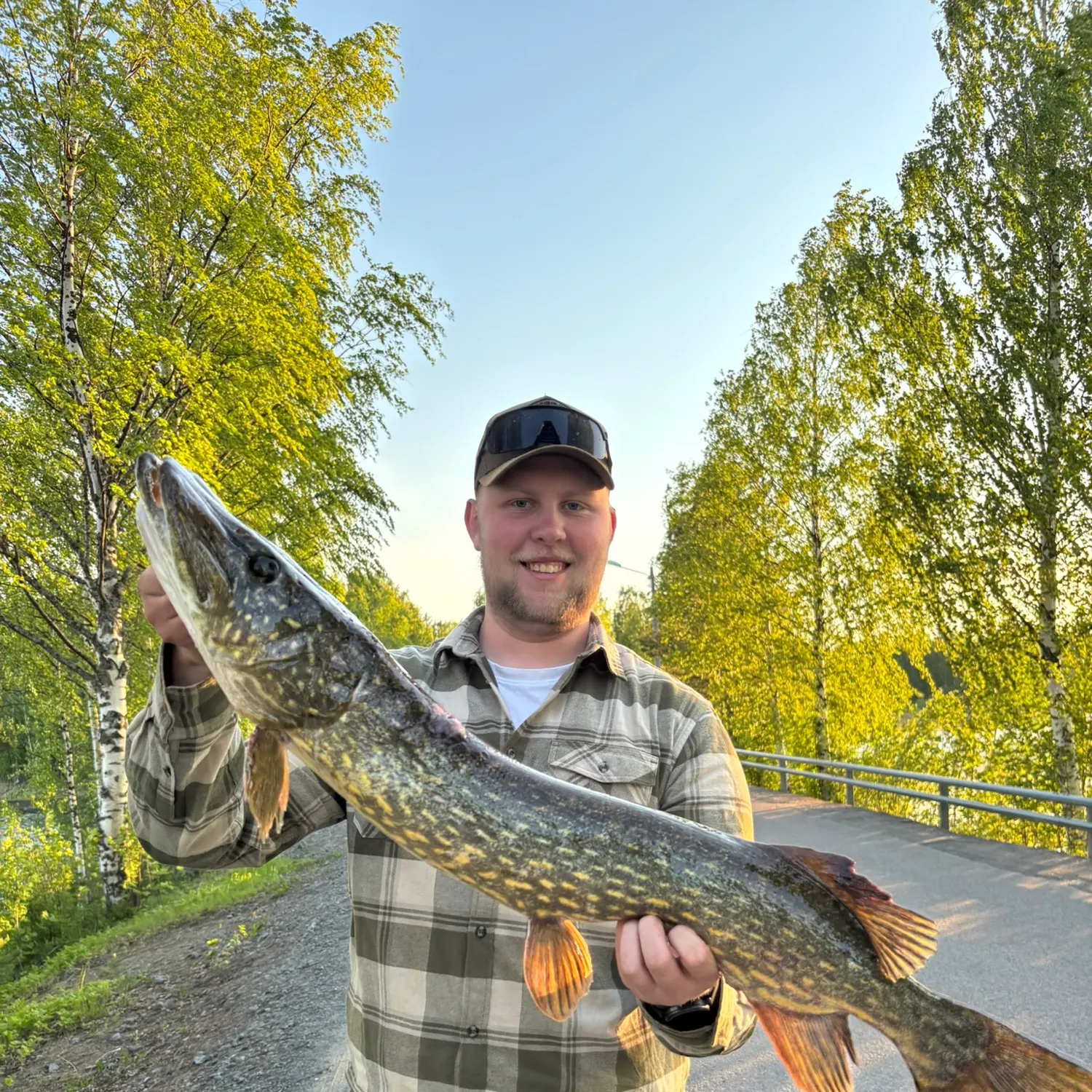 Northern pike caught on Fishbrain
