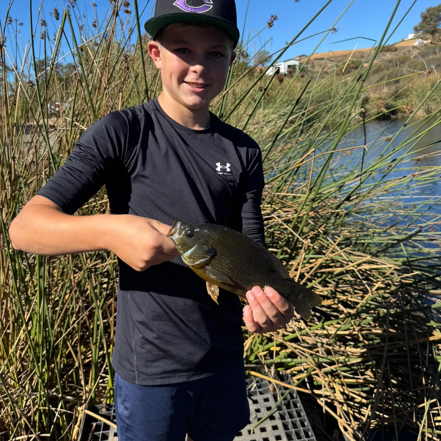 Small-scaled pacu caught on Fishbrain