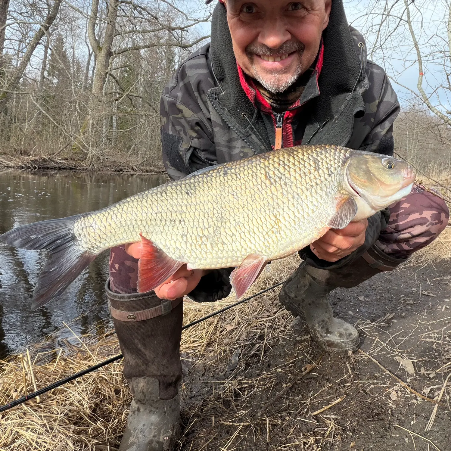 The most recent Ide catches on Fishbrain