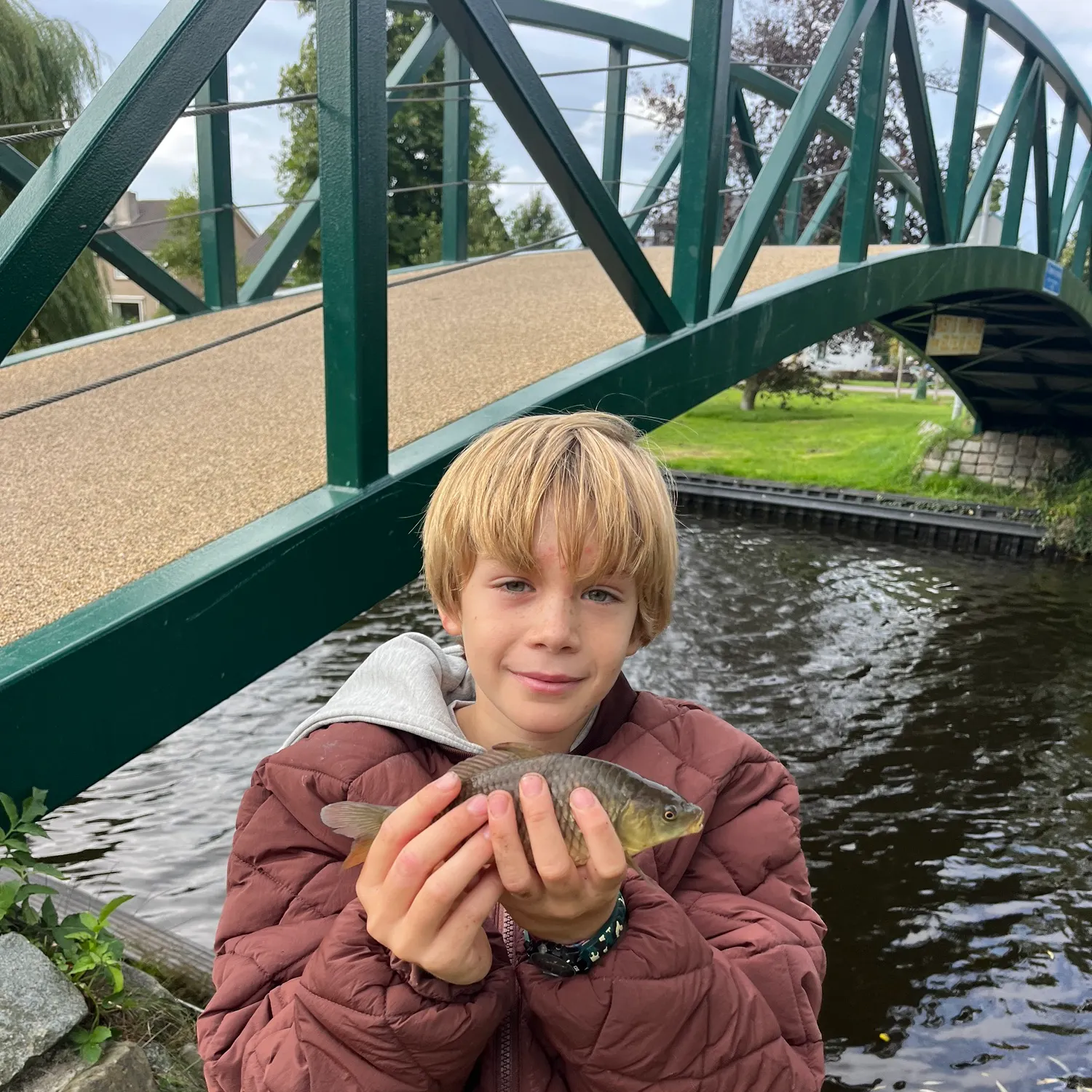 Common carp caught on Fishbrain