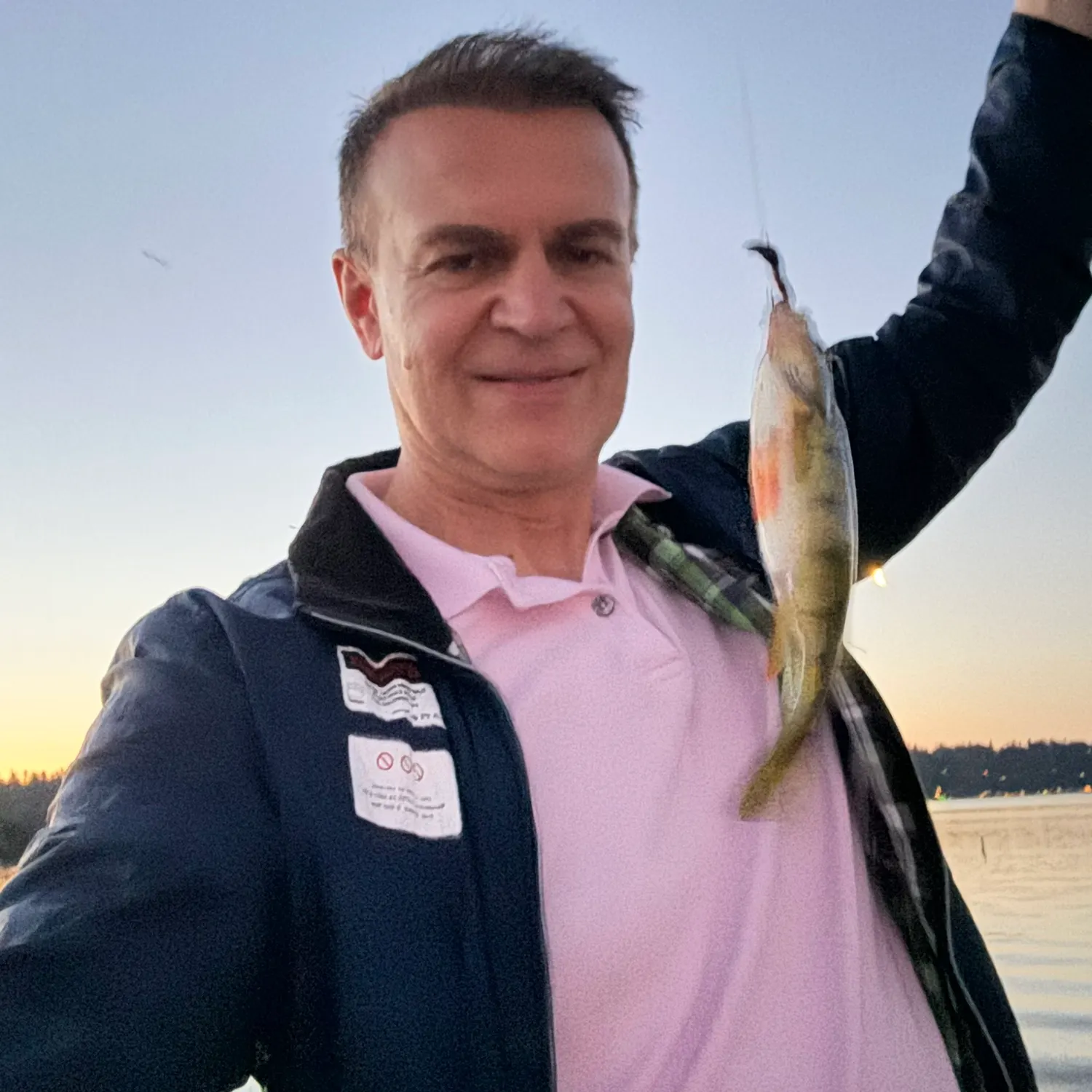 Yellow perch caught on Fishbrain