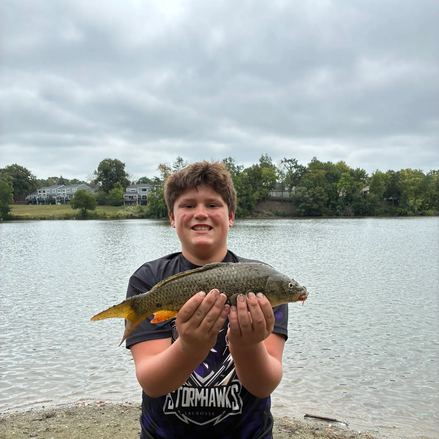 Common carp caught on Fishbrain