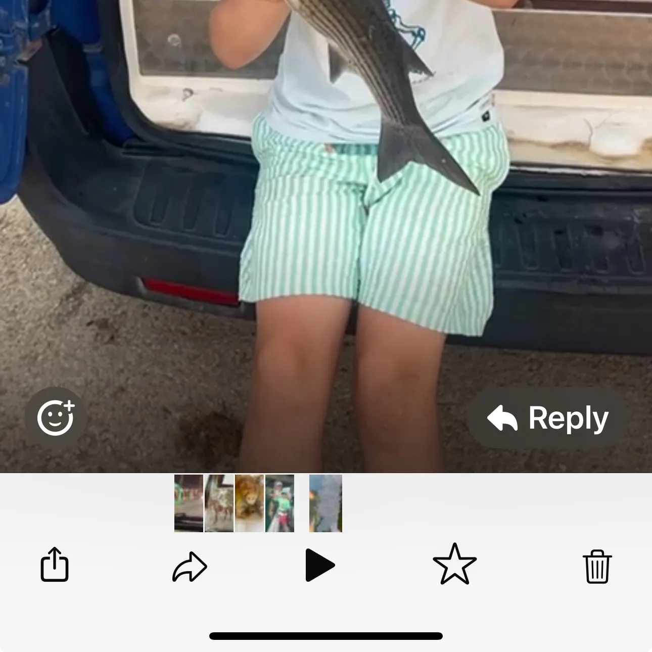 The most recent Striped mullet catches on Fishbrain