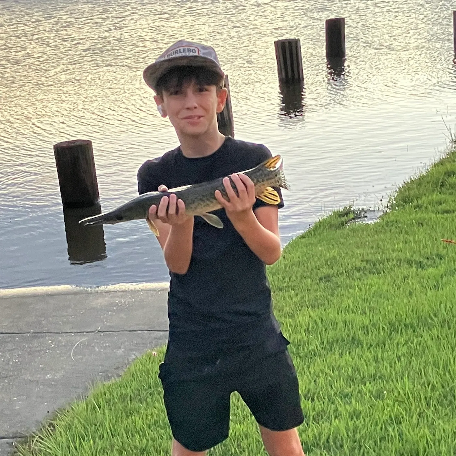 Spotted gar caught on Fishbrain