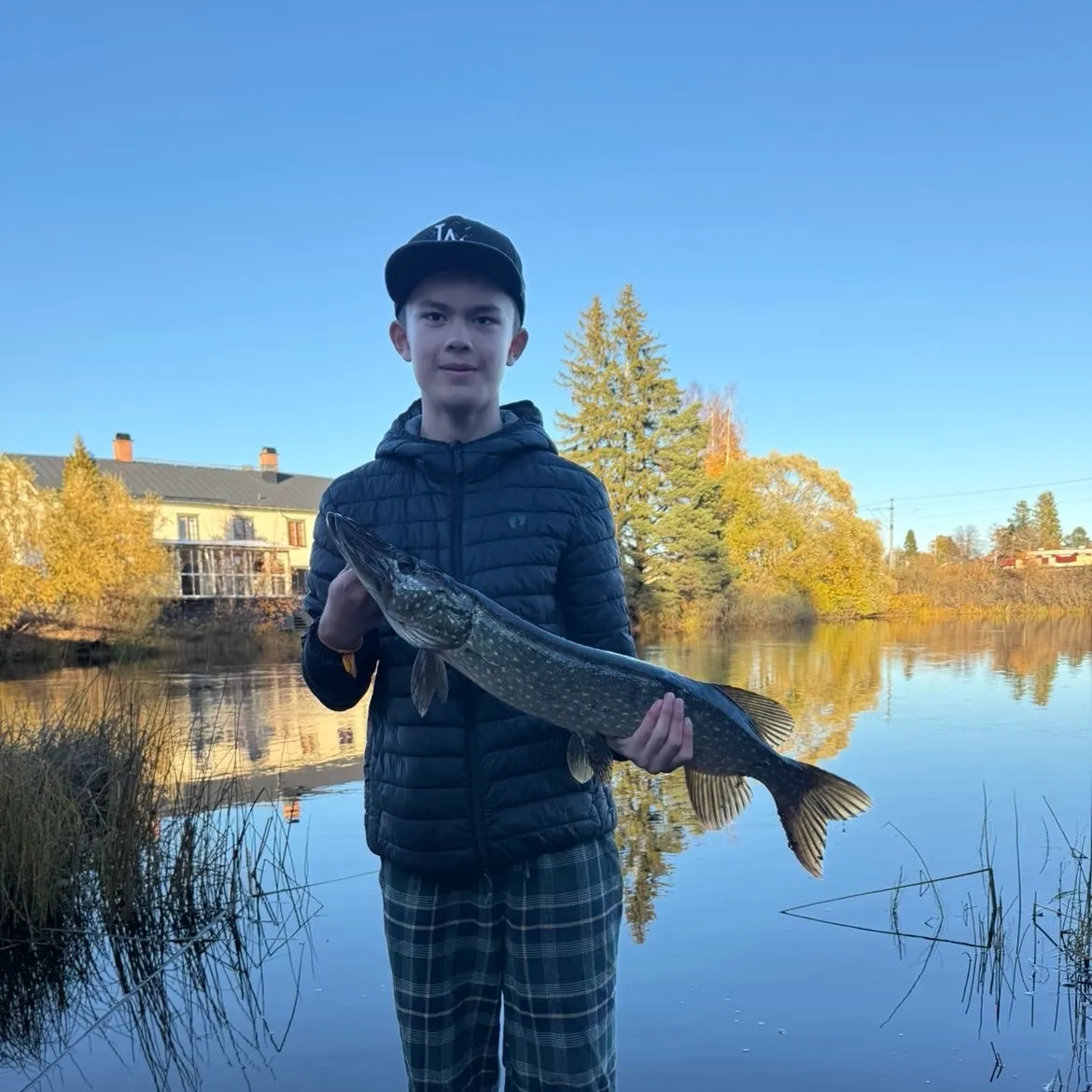 Northern pike caught on Fishbrain