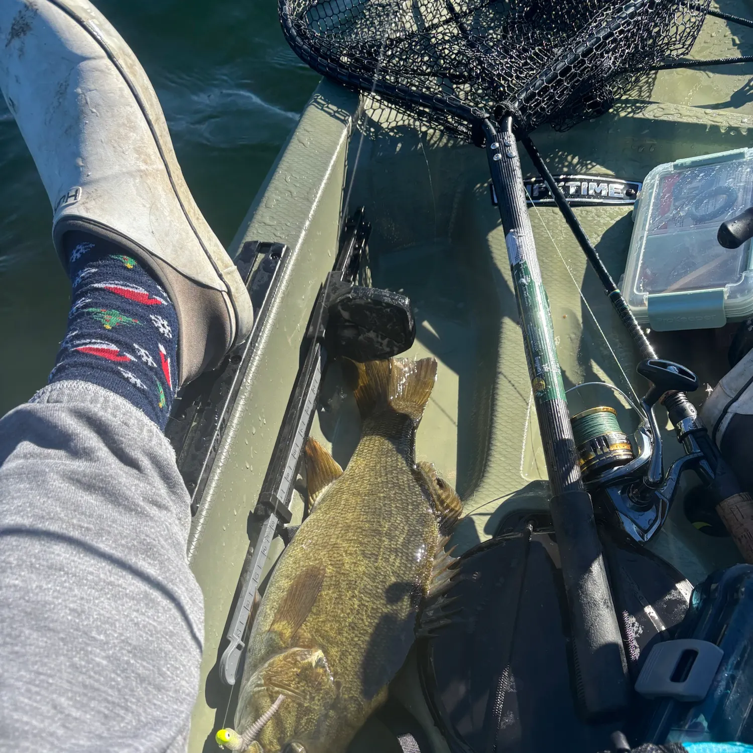 Smallmouth bass caught on Fishbrain